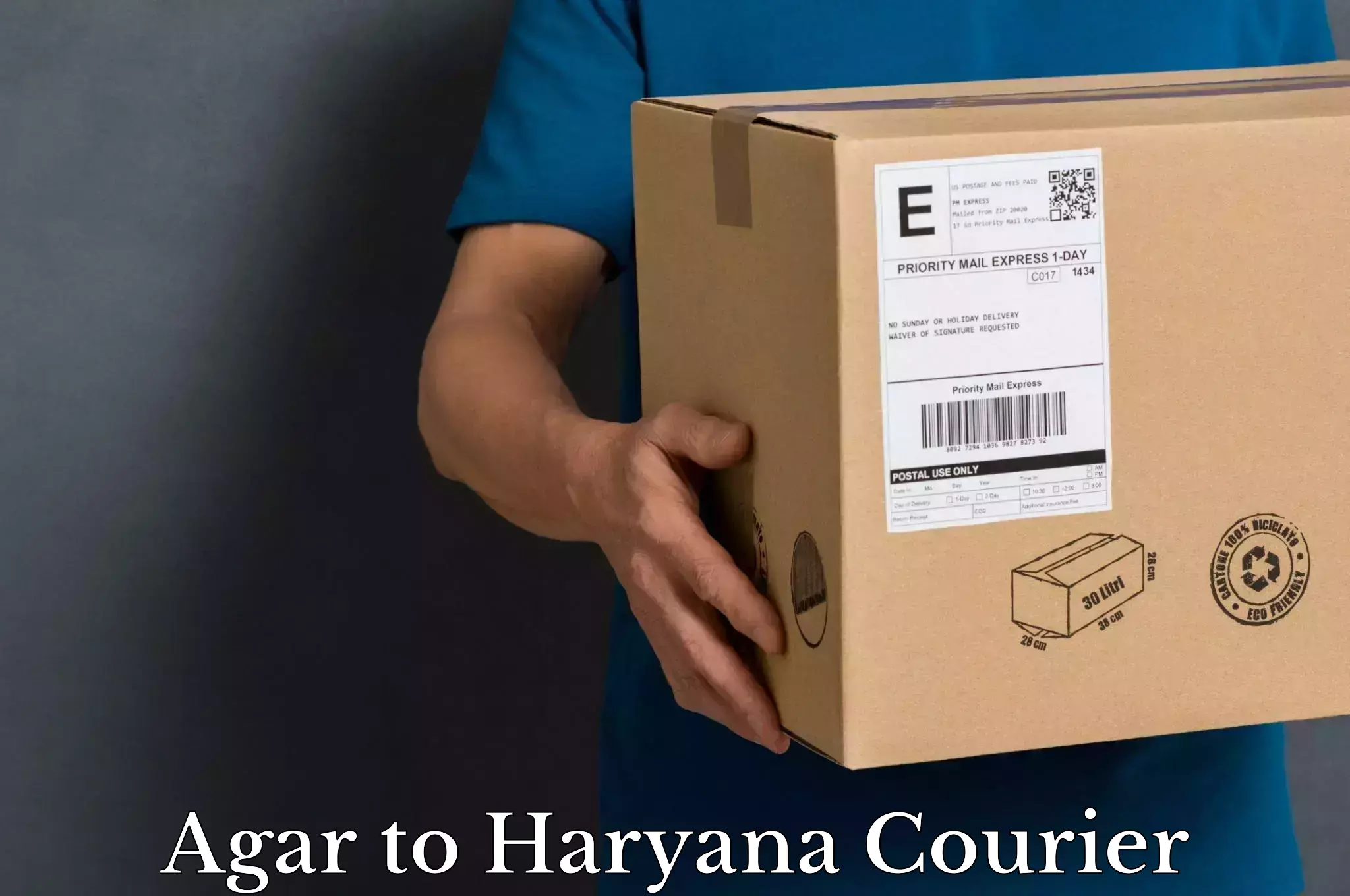 International parcel service Agar to Haryana