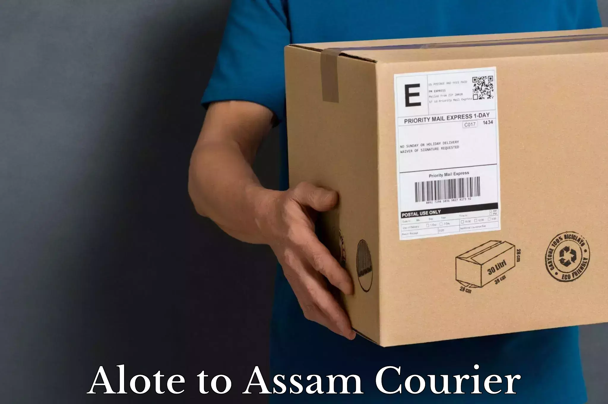 Multi-national courier services Alote to Assam University Silchar