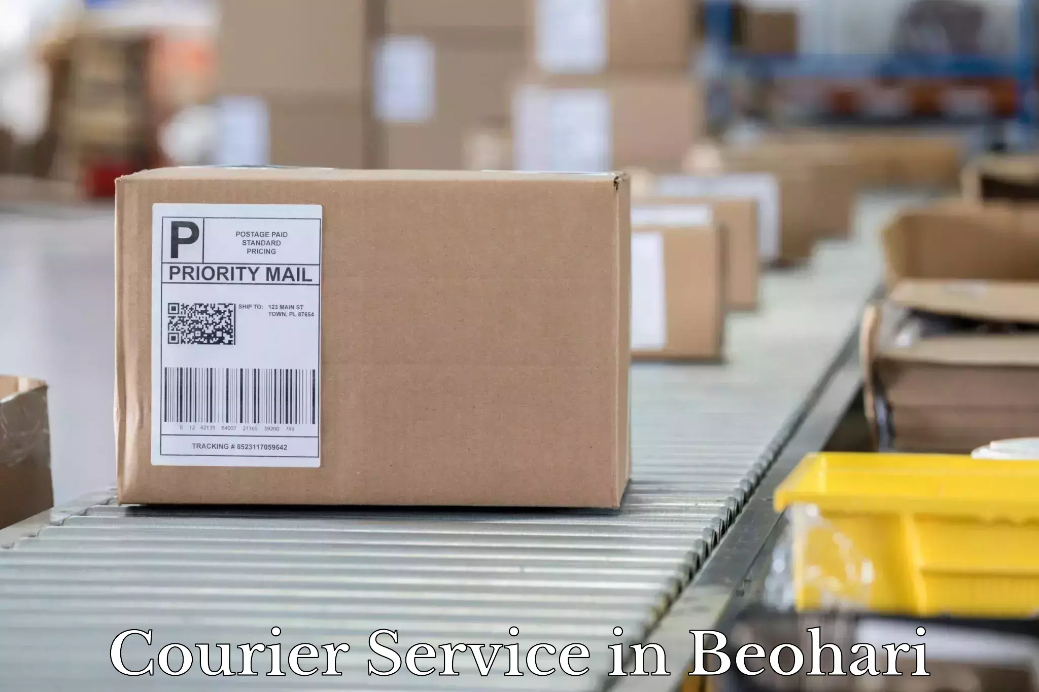 High value parcel delivery in Beohari