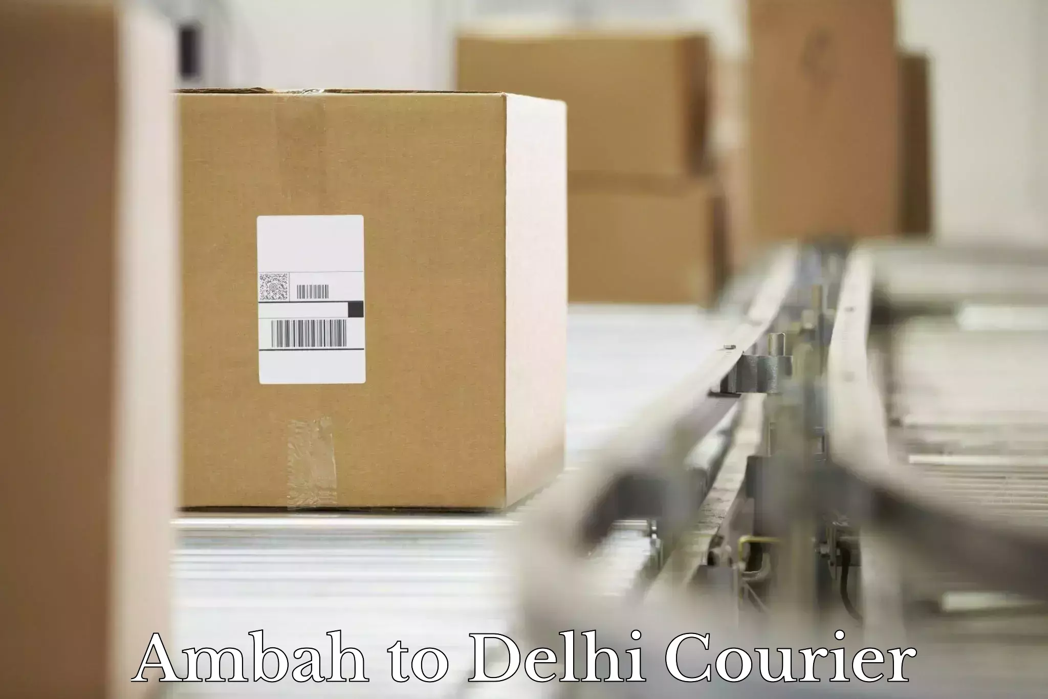 Global parcel delivery in Ambah to Guru Gobind Singh Indraprastha University New Delhi