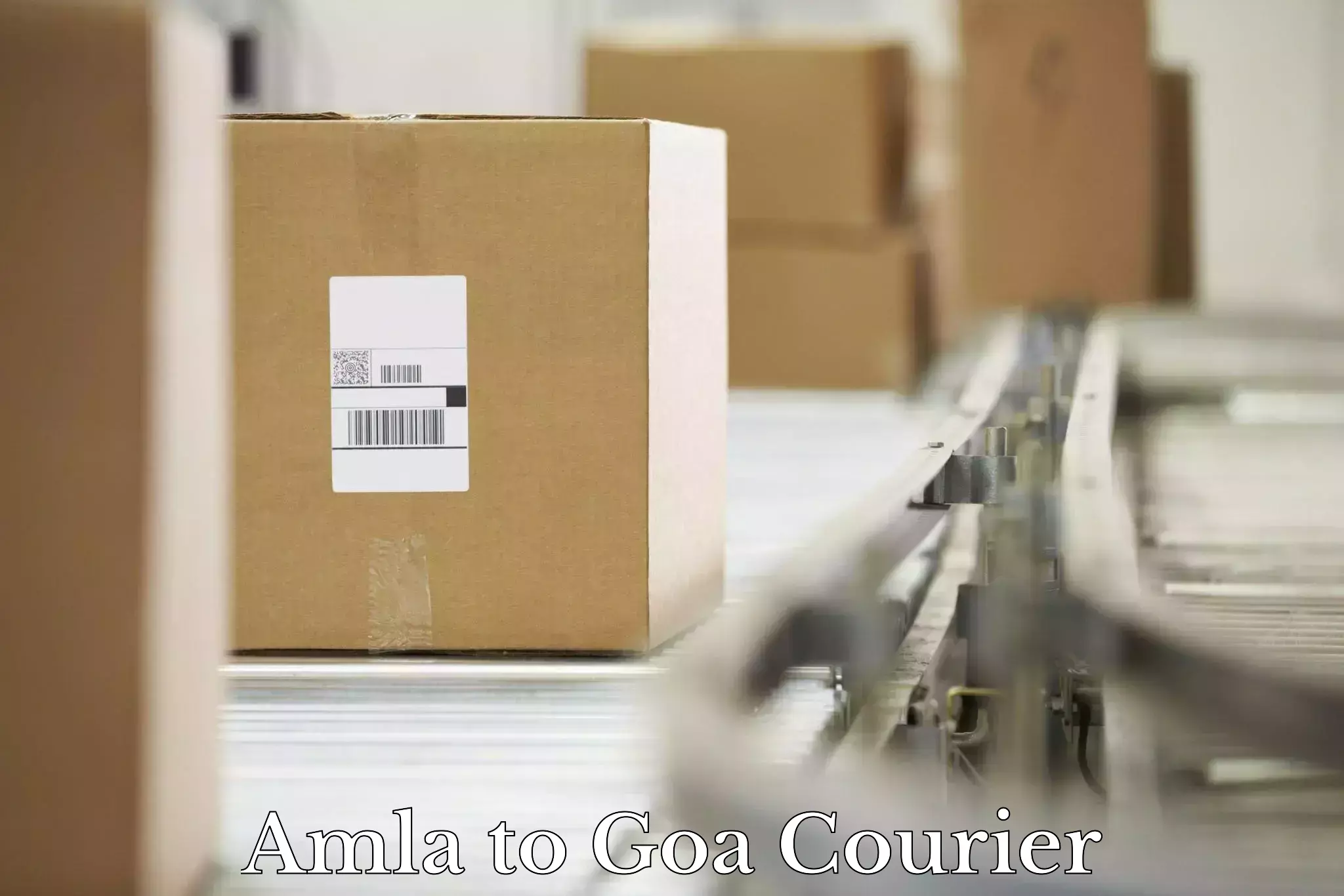 Courier dispatch services Amla to Bardez