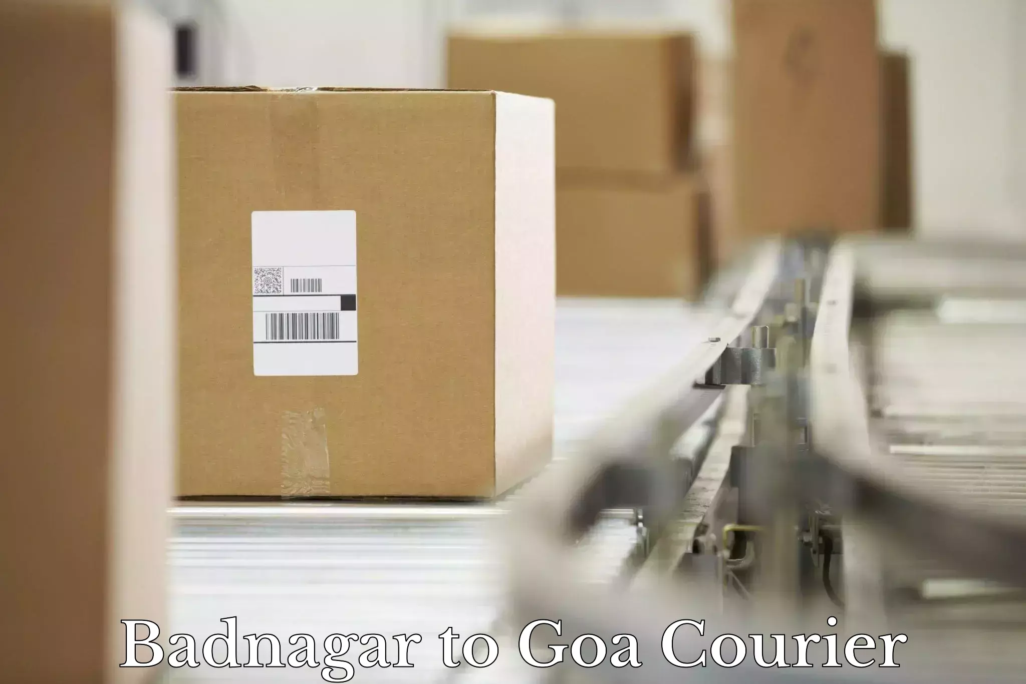 High value parcel delivery Badnagar to Vasco da Gama