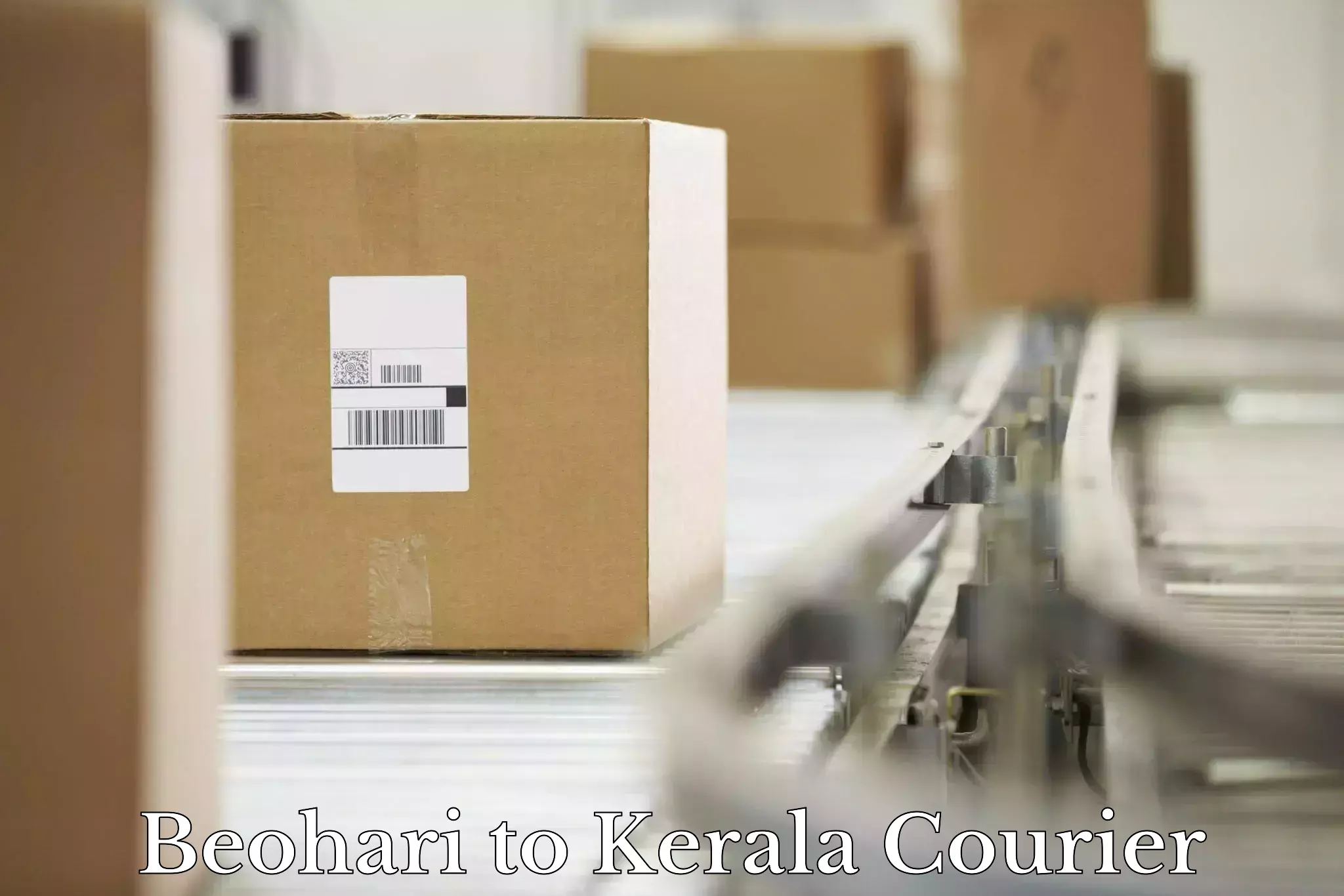 Small business couriers Beohari to Chengannur