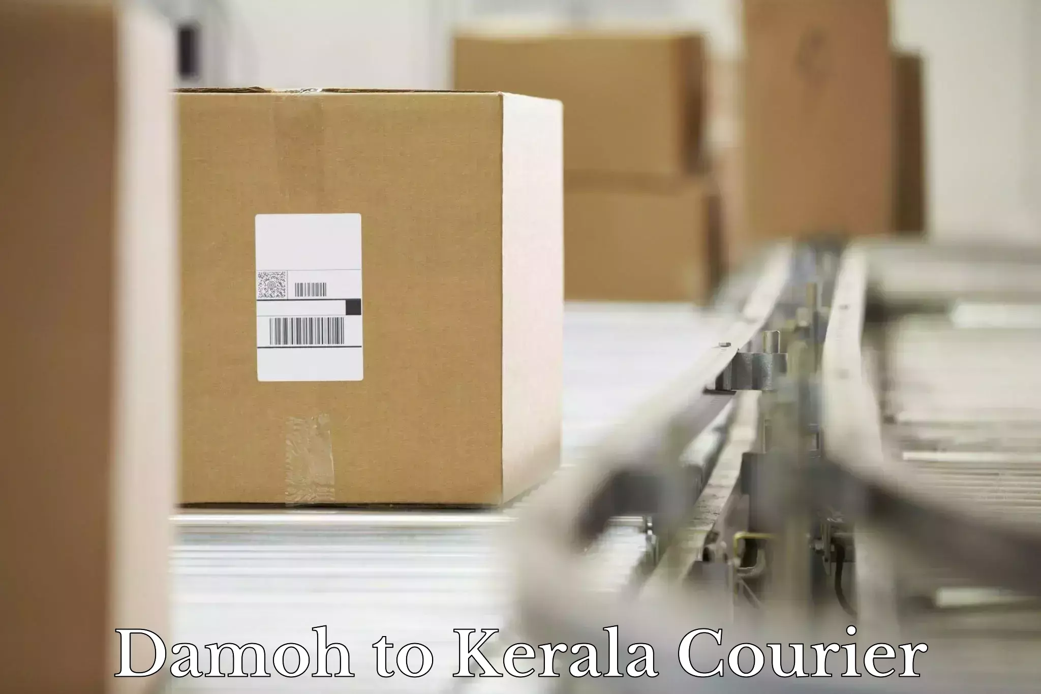 Return courier service Damoh to Muvattupuzha