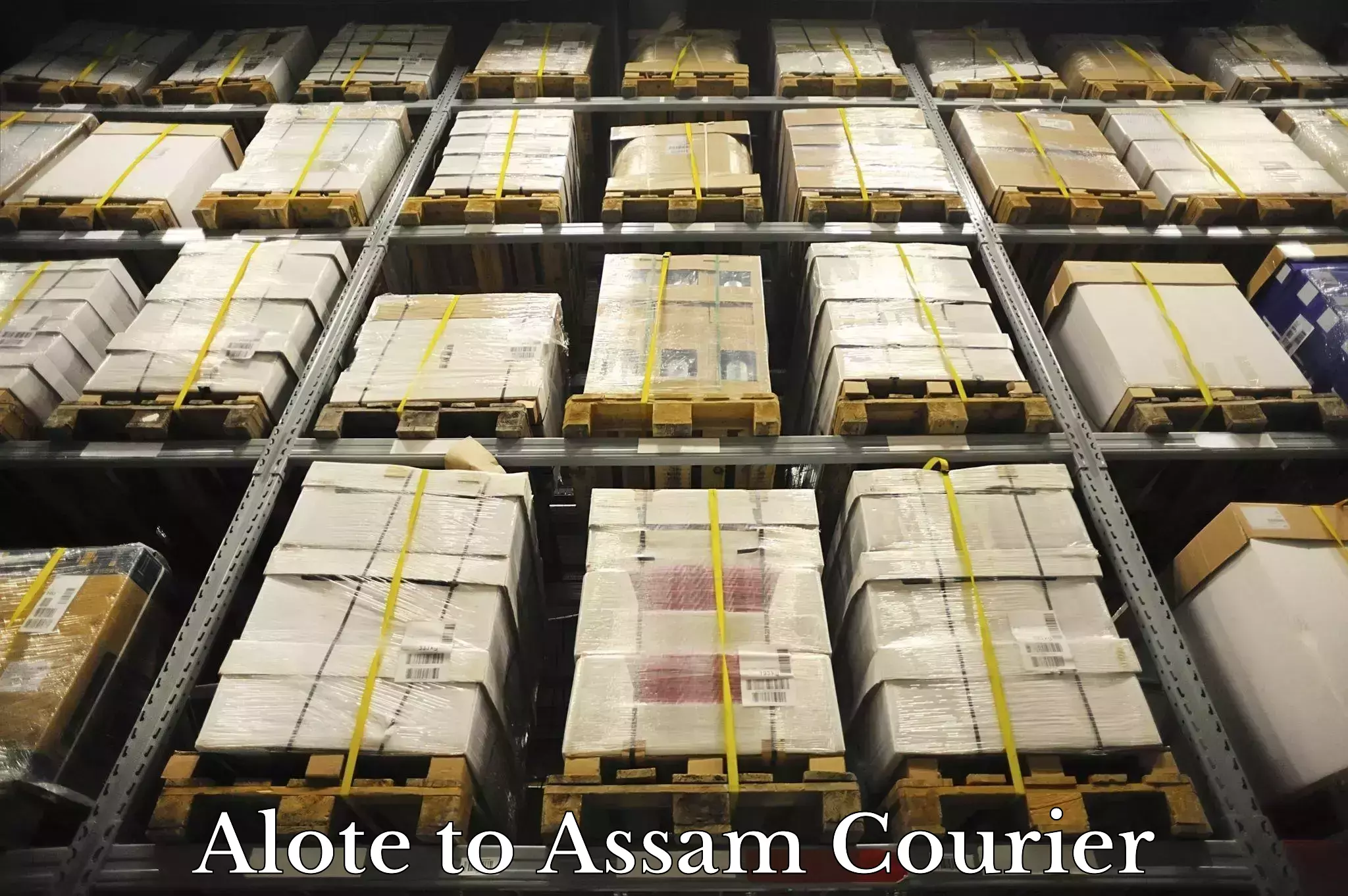 Secure package delivery Alote to Assam University Silchar