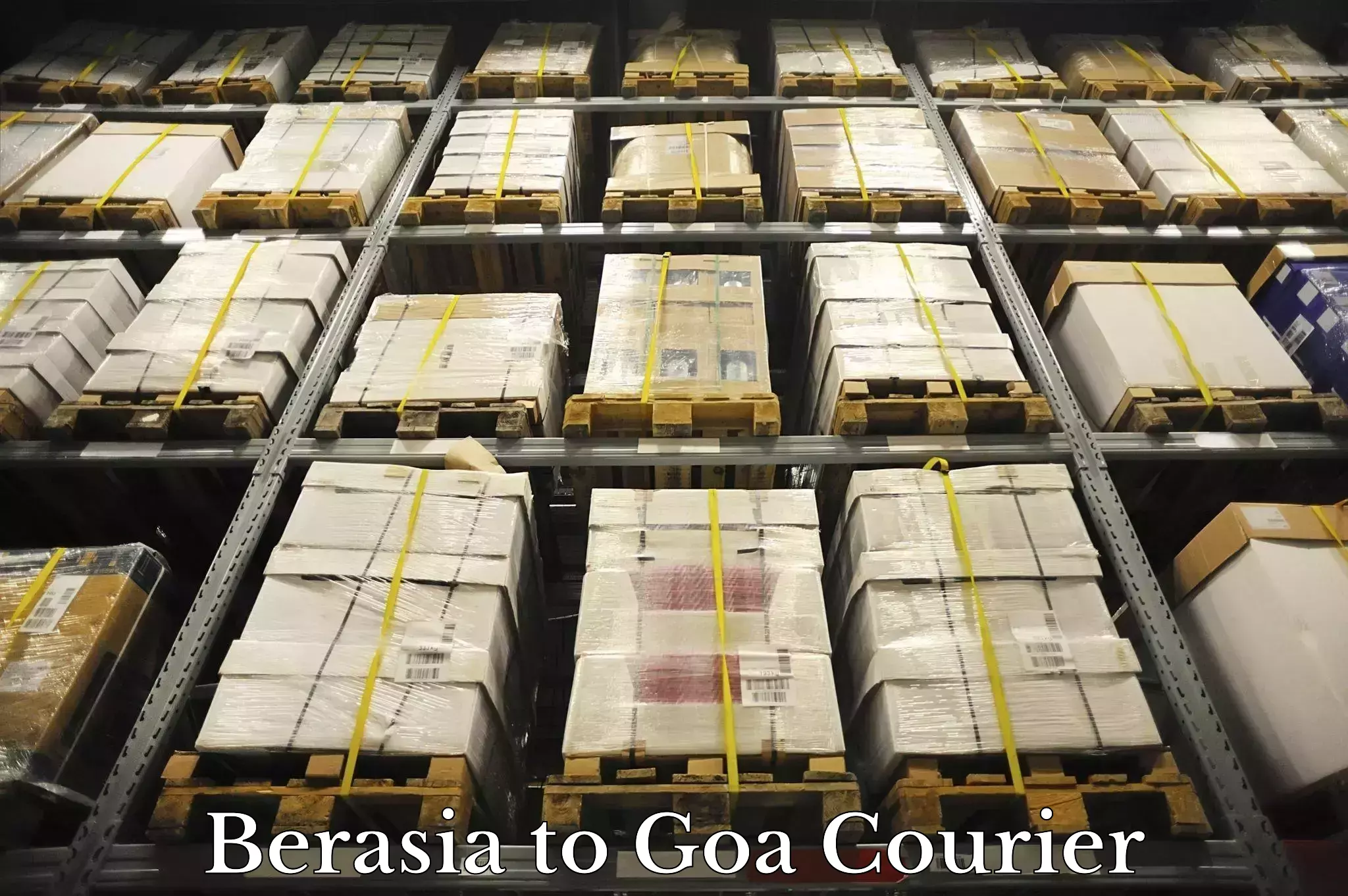 Express courier capabilities Berasia to South Goa