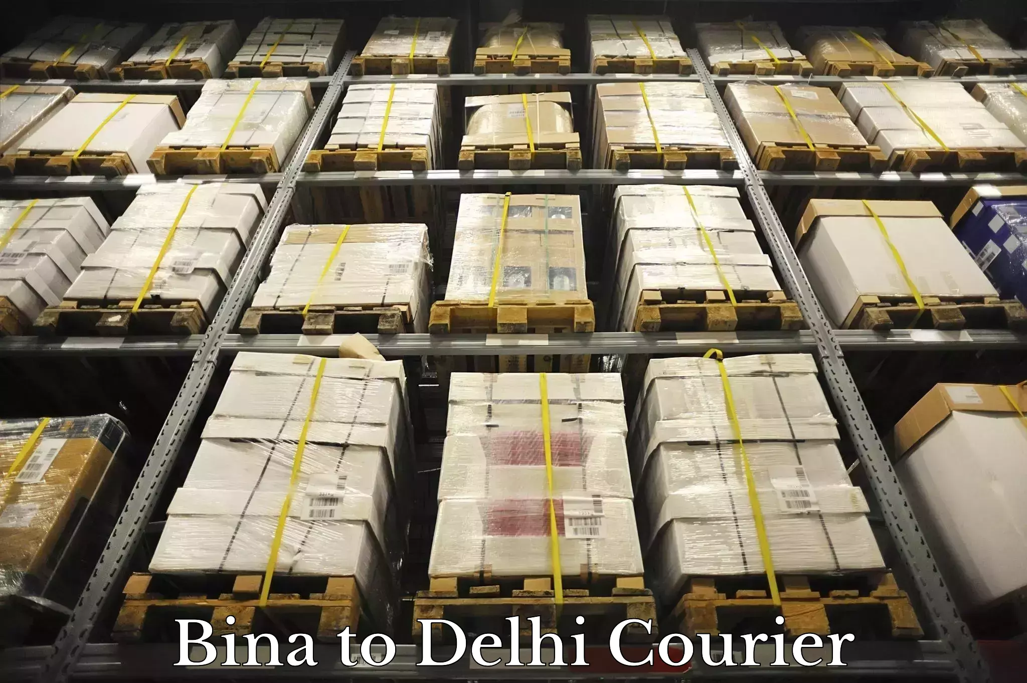 Budget-friendly shipping Bina to Indraprastha