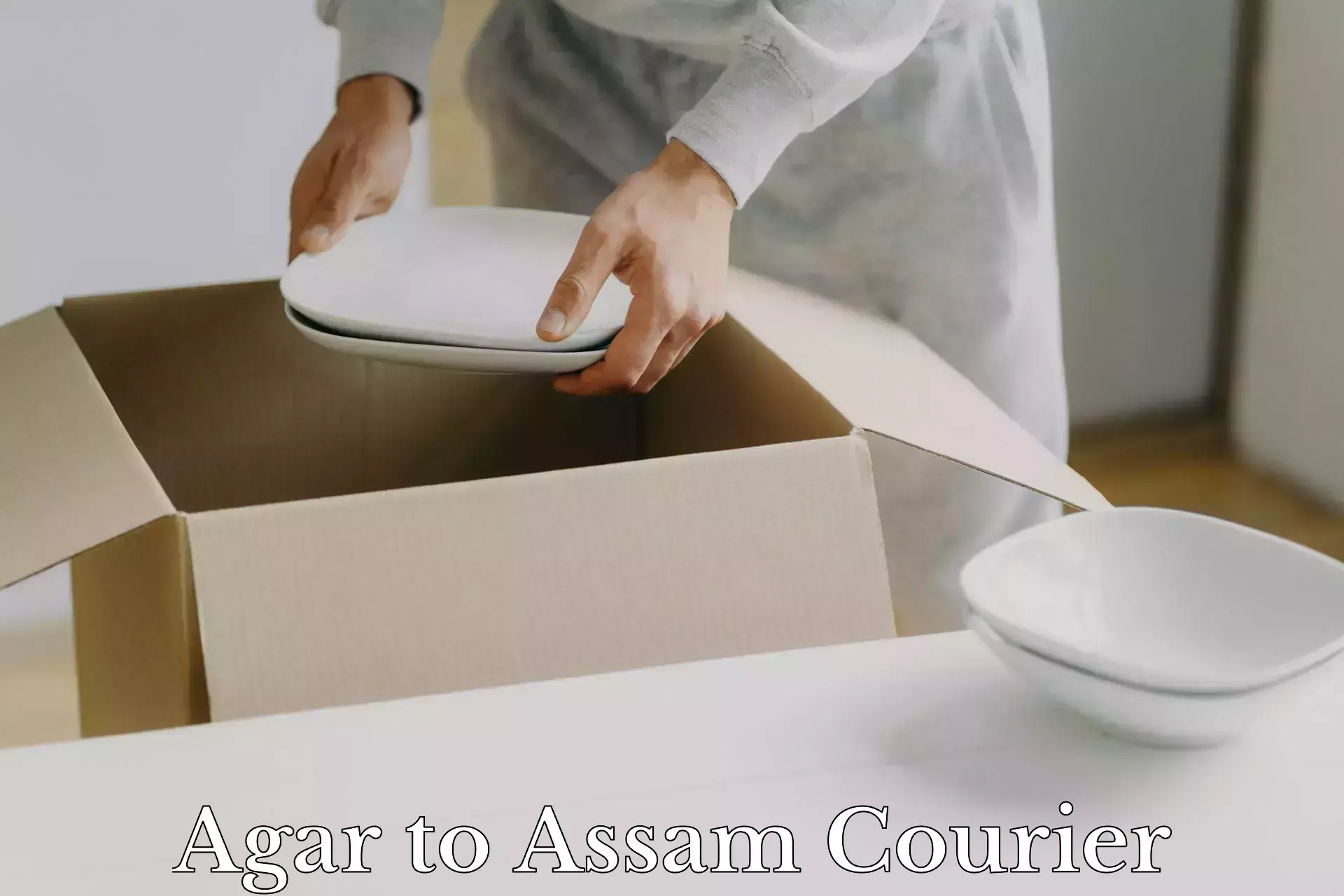 Easy access courier services Agar to Tezpur University