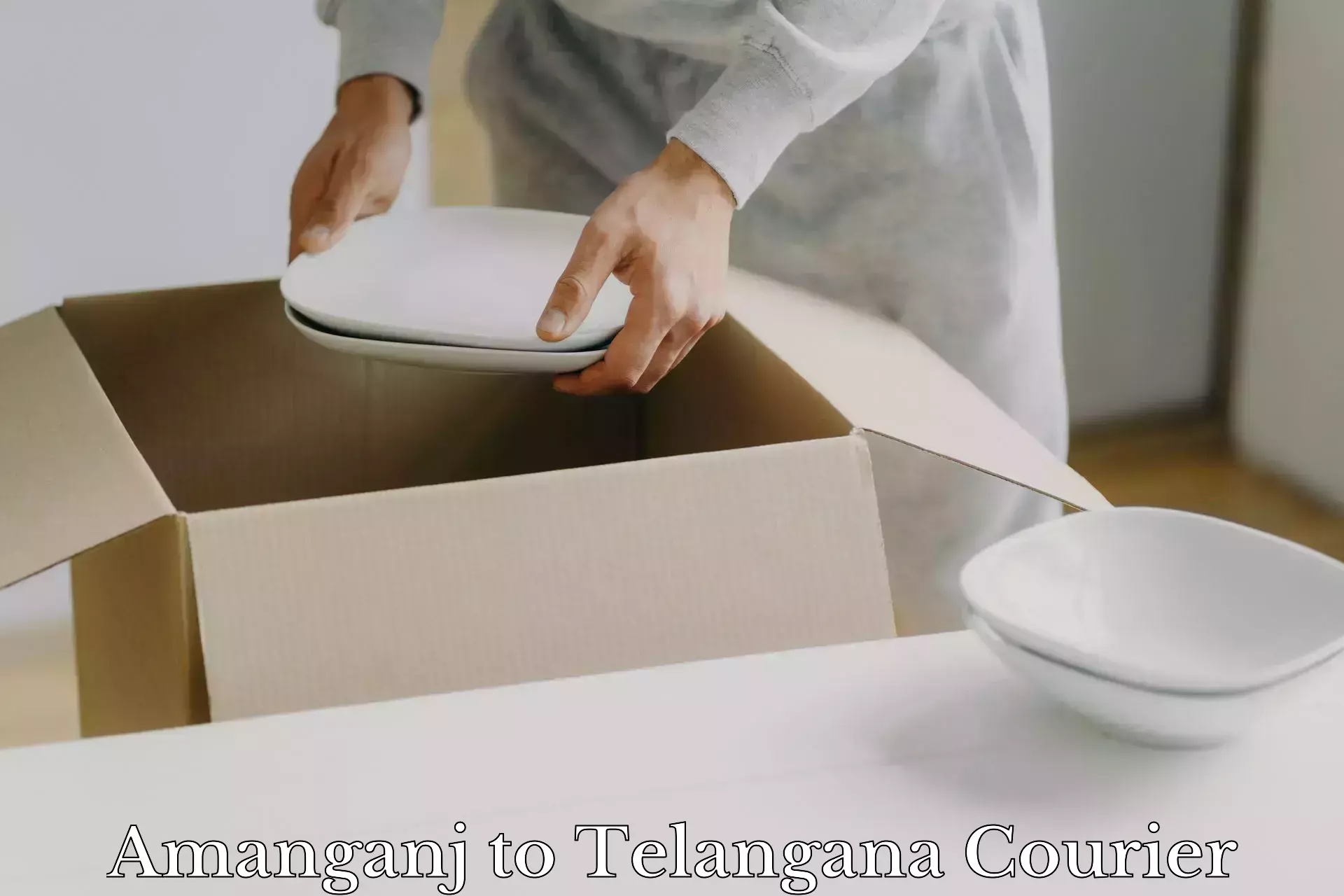 Custom courier solutions in Amanganj to Yellandu