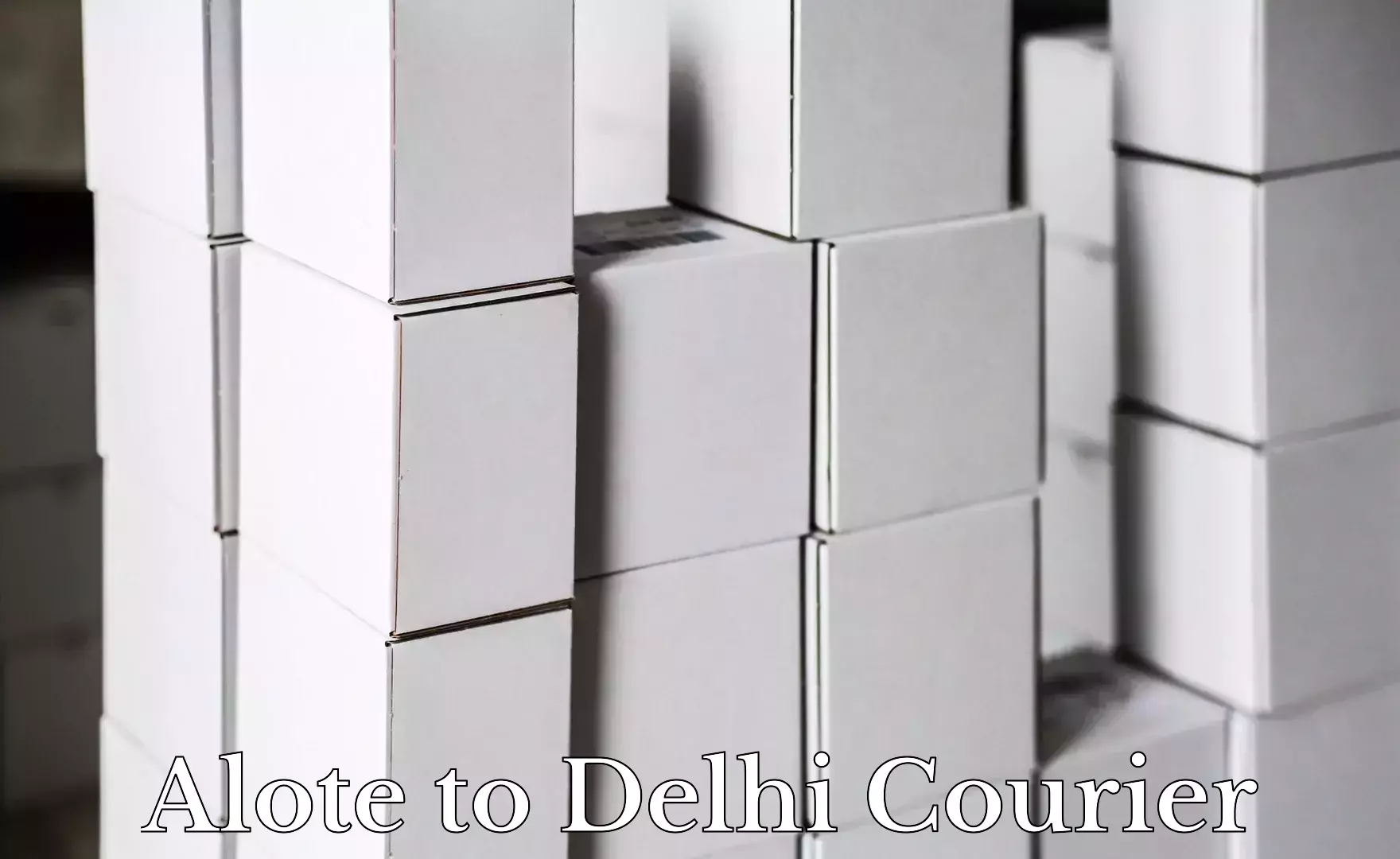 Custom courier strategies in Alote to University of Delhi