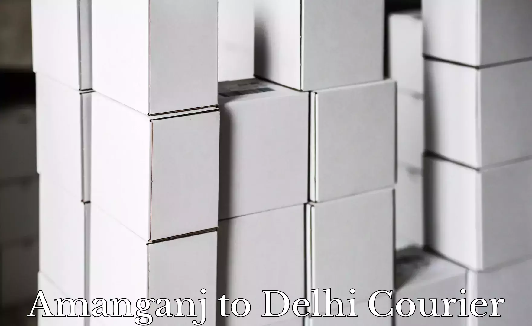 Multi-national courier services in Amanganj to Delhi Technological University DTU