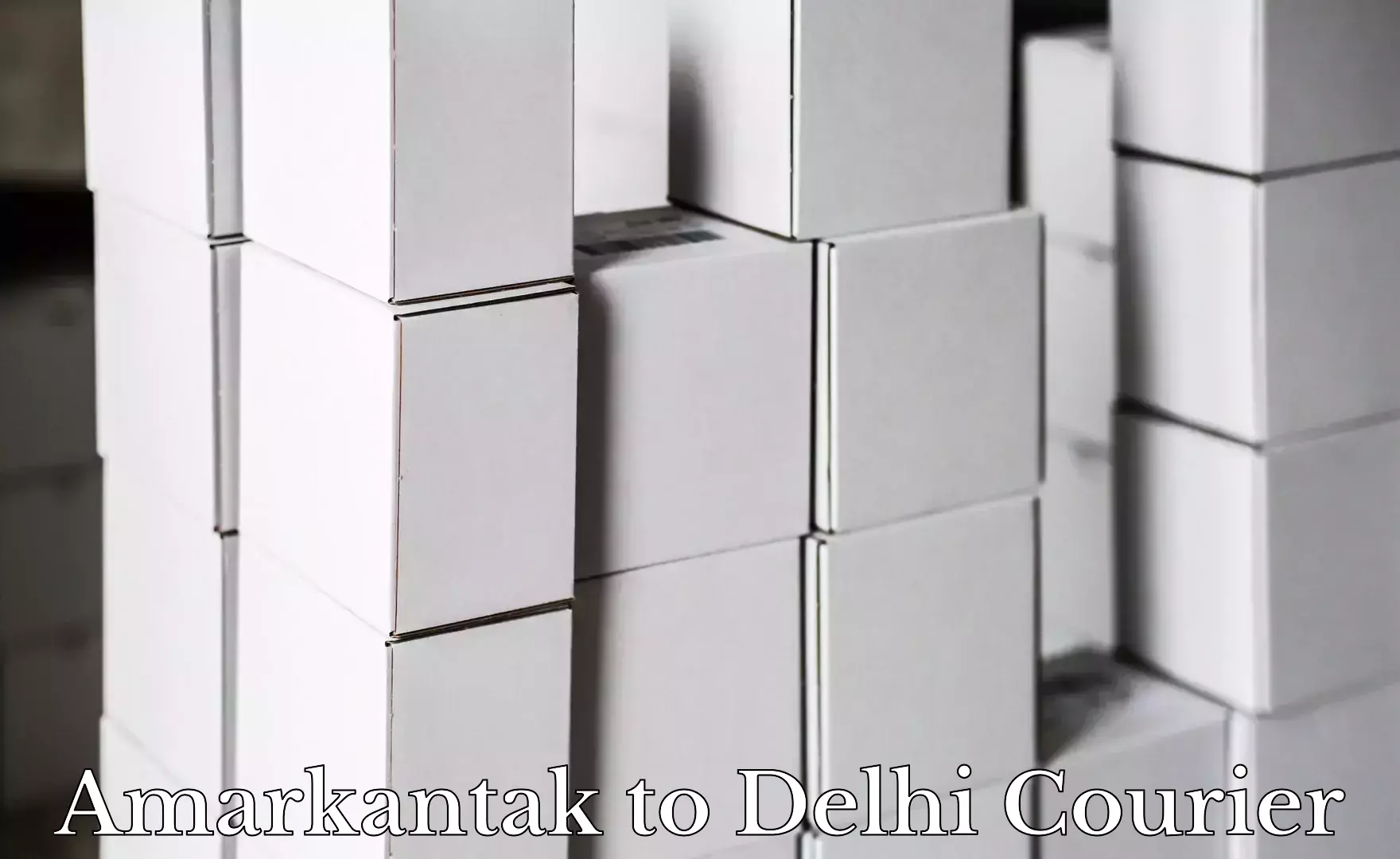 Lightweight courier Amarkantak to Jawaharlal Nehru University New Delhi