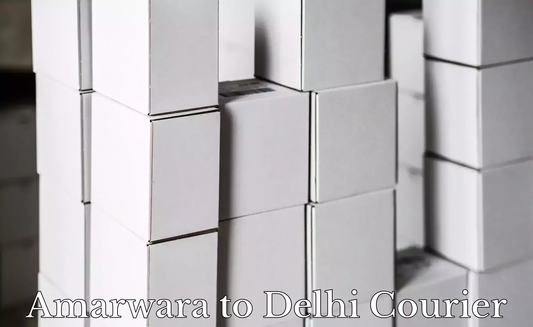 Expedited parcel delivery in Amarwara to IIT Delhi