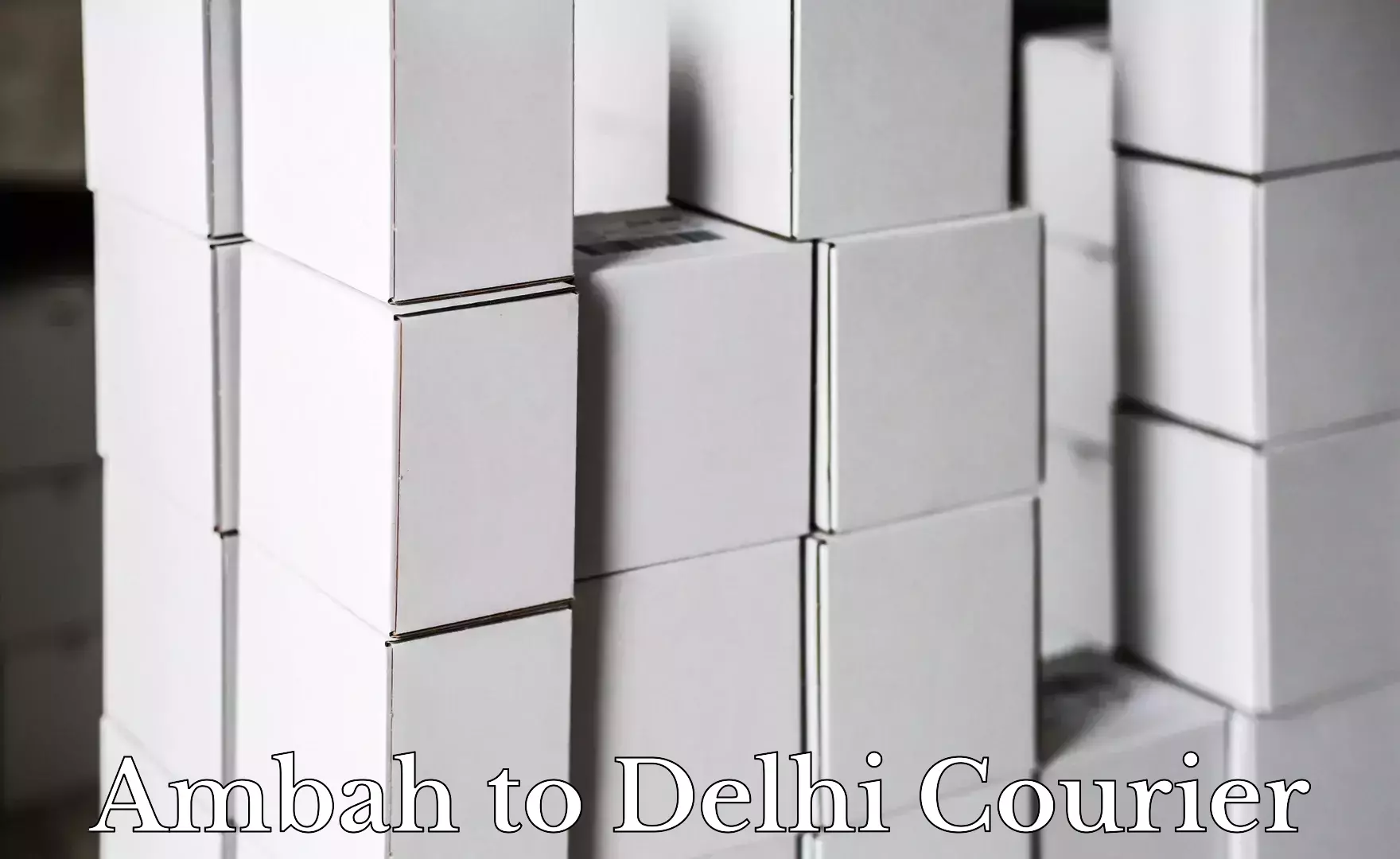 Courier service innovation Ambah to Subhash Nagar