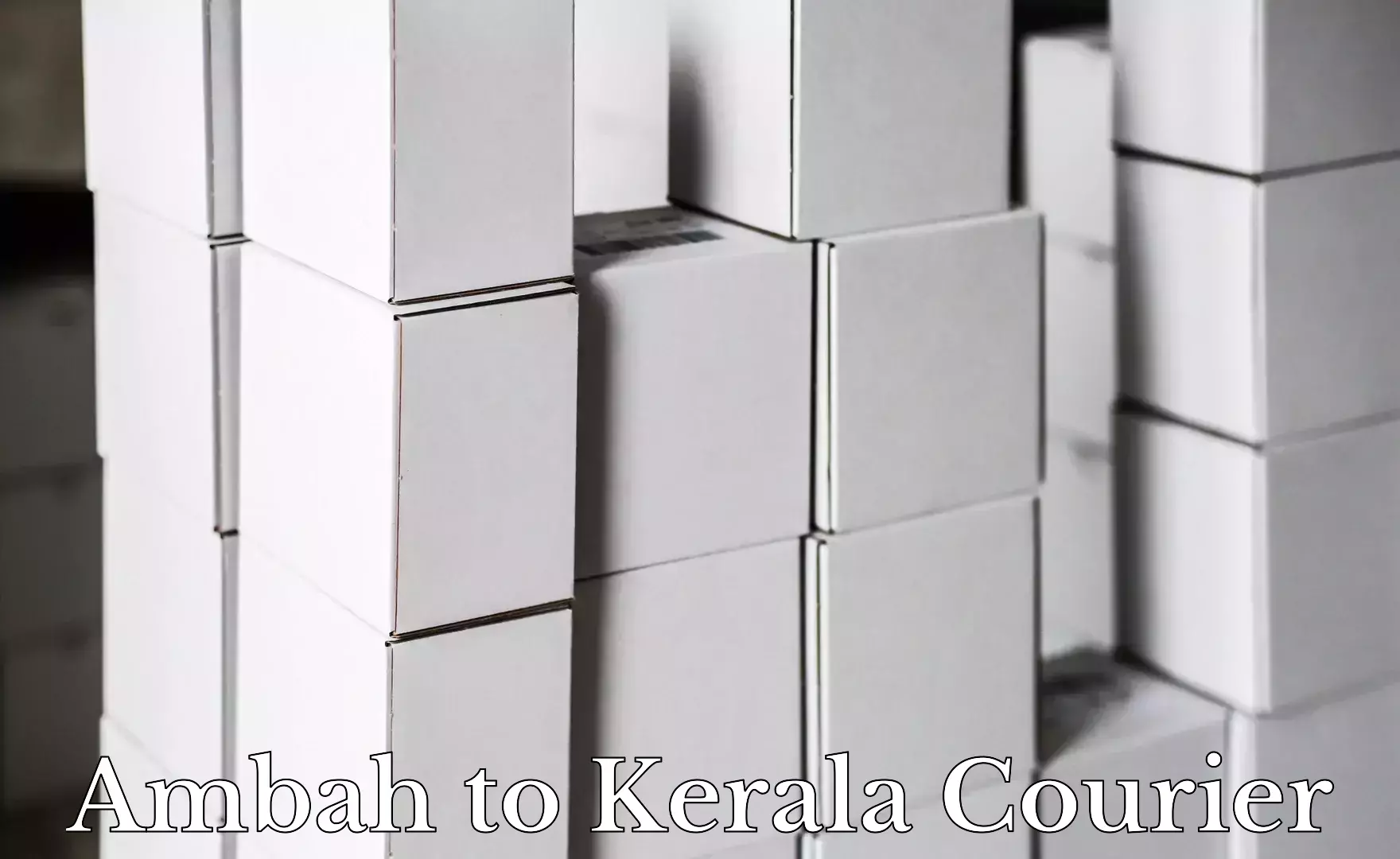 Dynamic courier services Ambah to Venjaramoodu