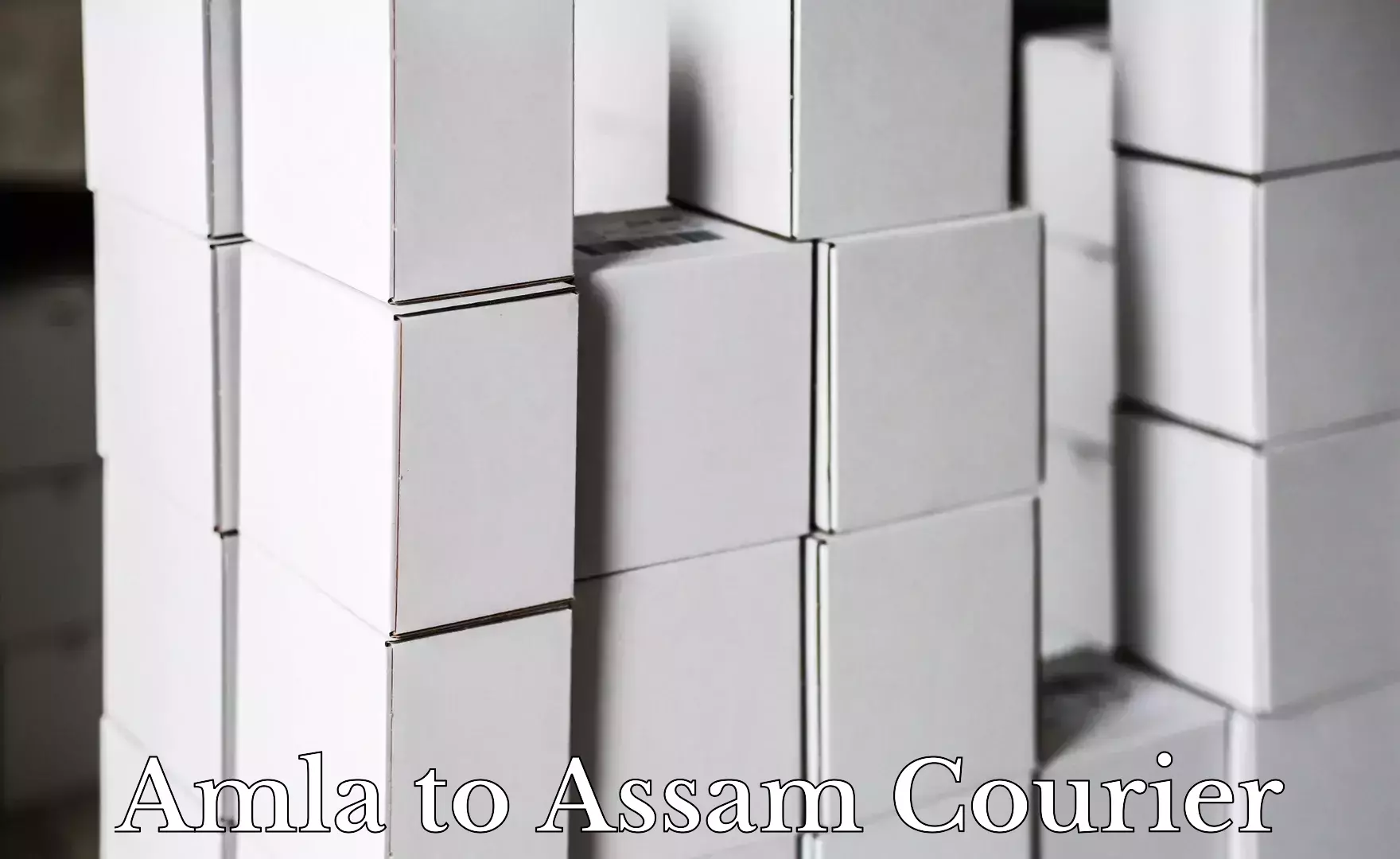 Large-scale shipping solutions Amla to Assam University Silchar