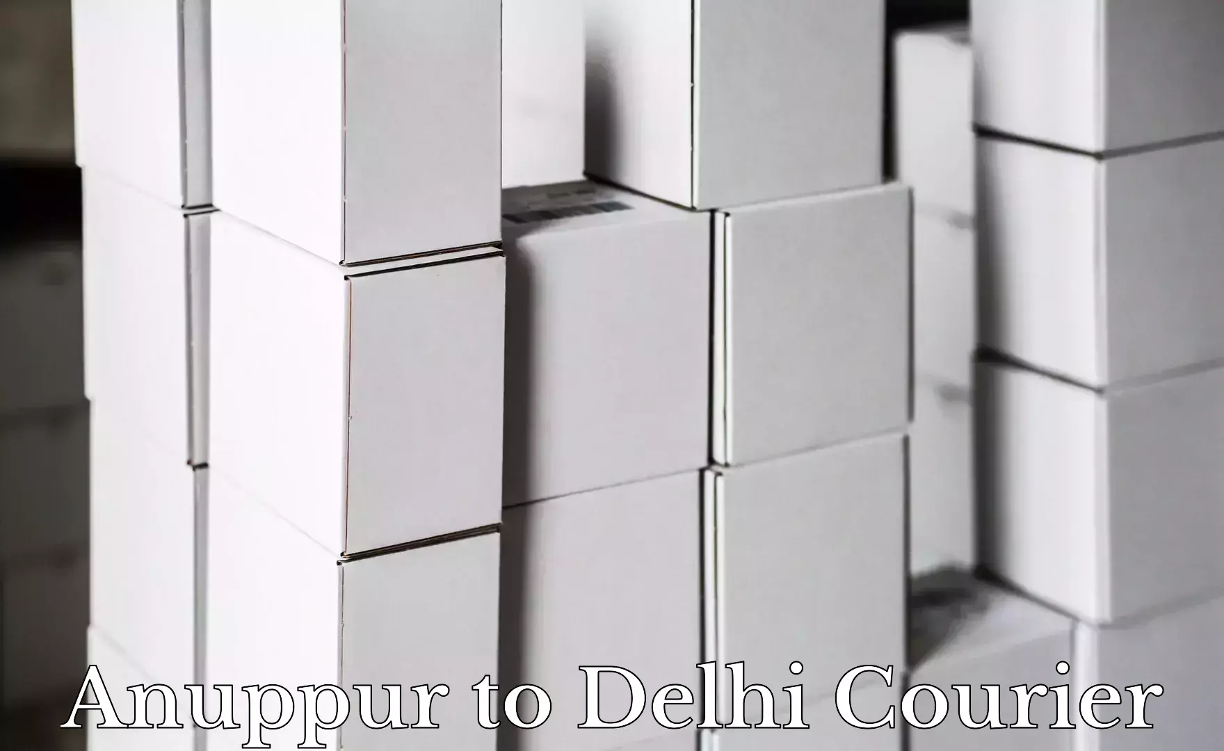 Competitive shipping rates Anuppur to Sansad Marg