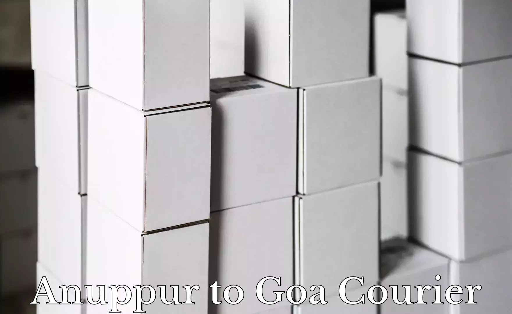 Comprehensive shipping network Anuppur to Goa