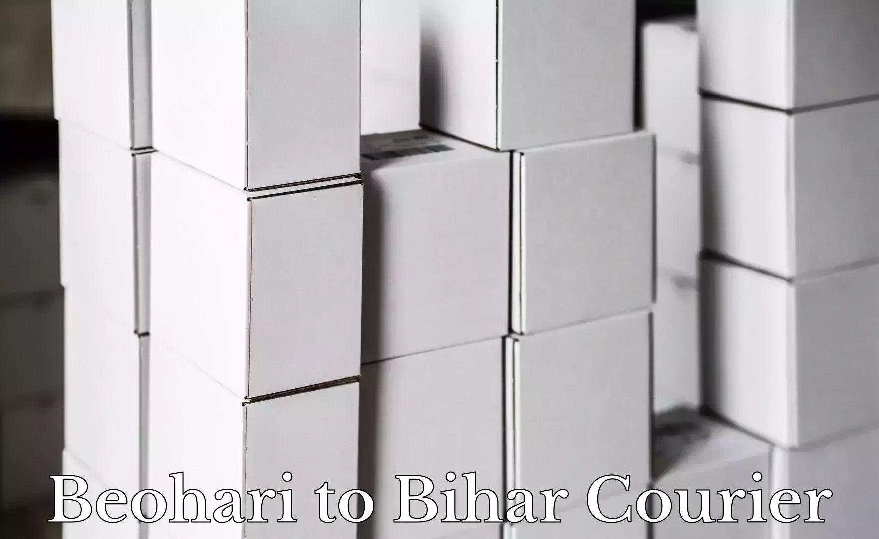 Advanced courier platforms Beohari to Wazirganj