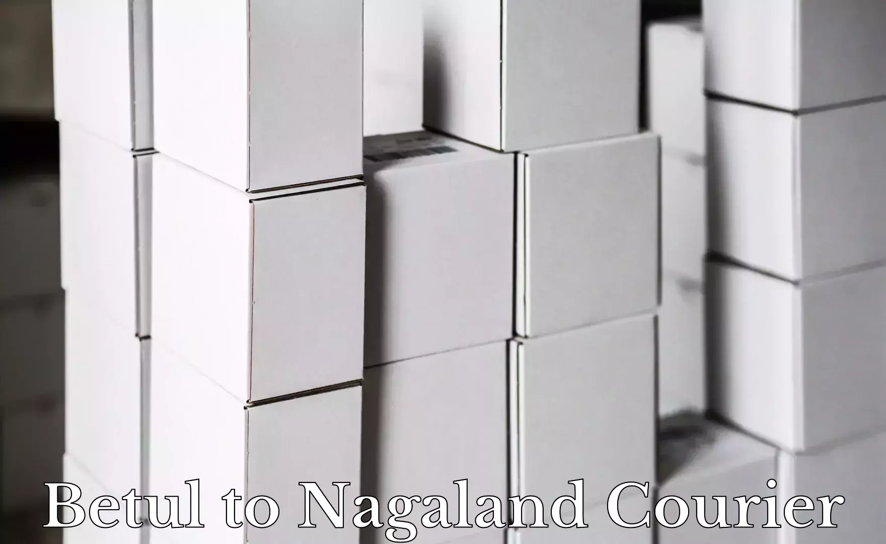 Premium courier solutions Betul to NIT Nagaland