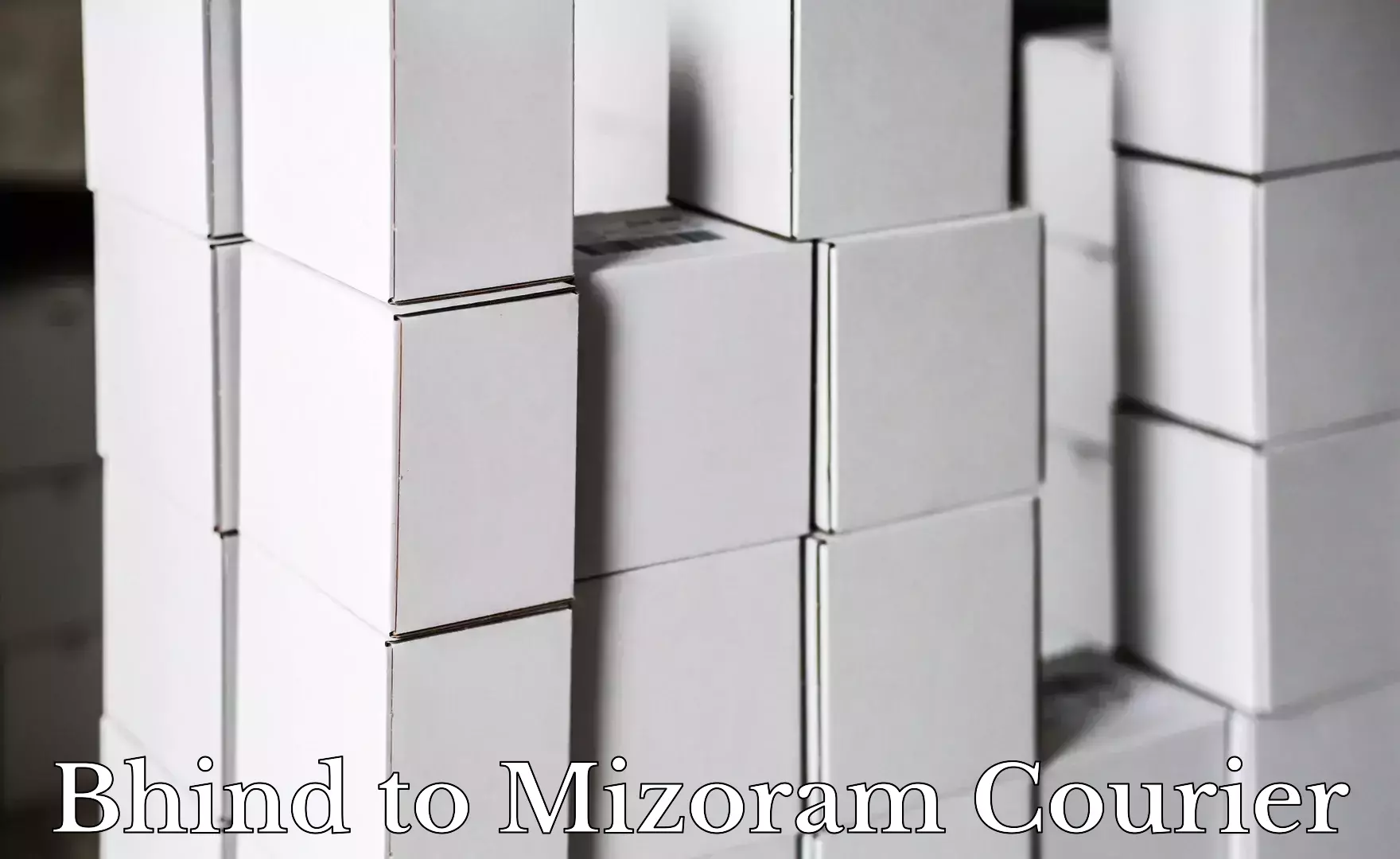 Smart parcel delivery Bhind to Mizoram