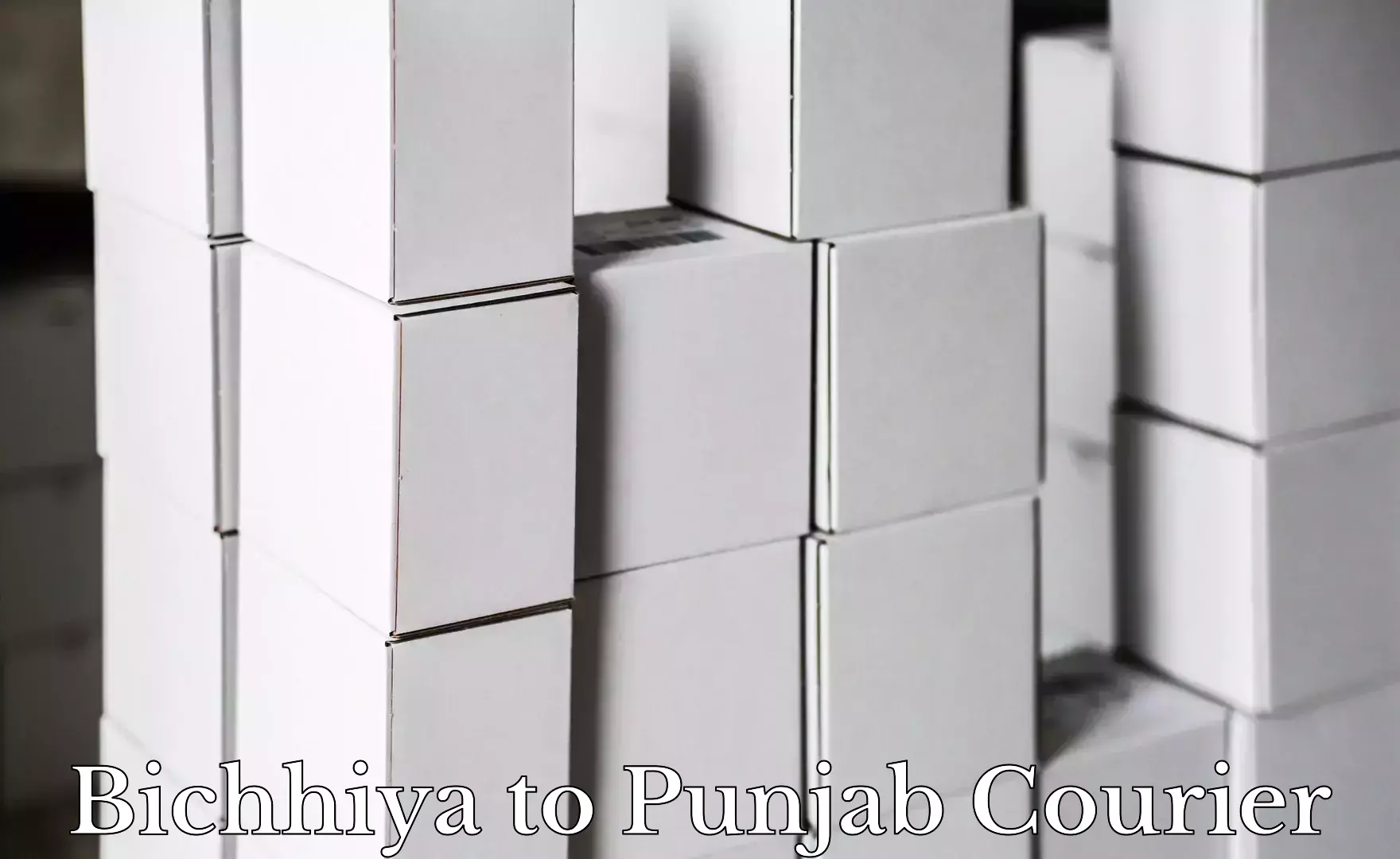 Premium delivery services Bichhiya to Kapurthala