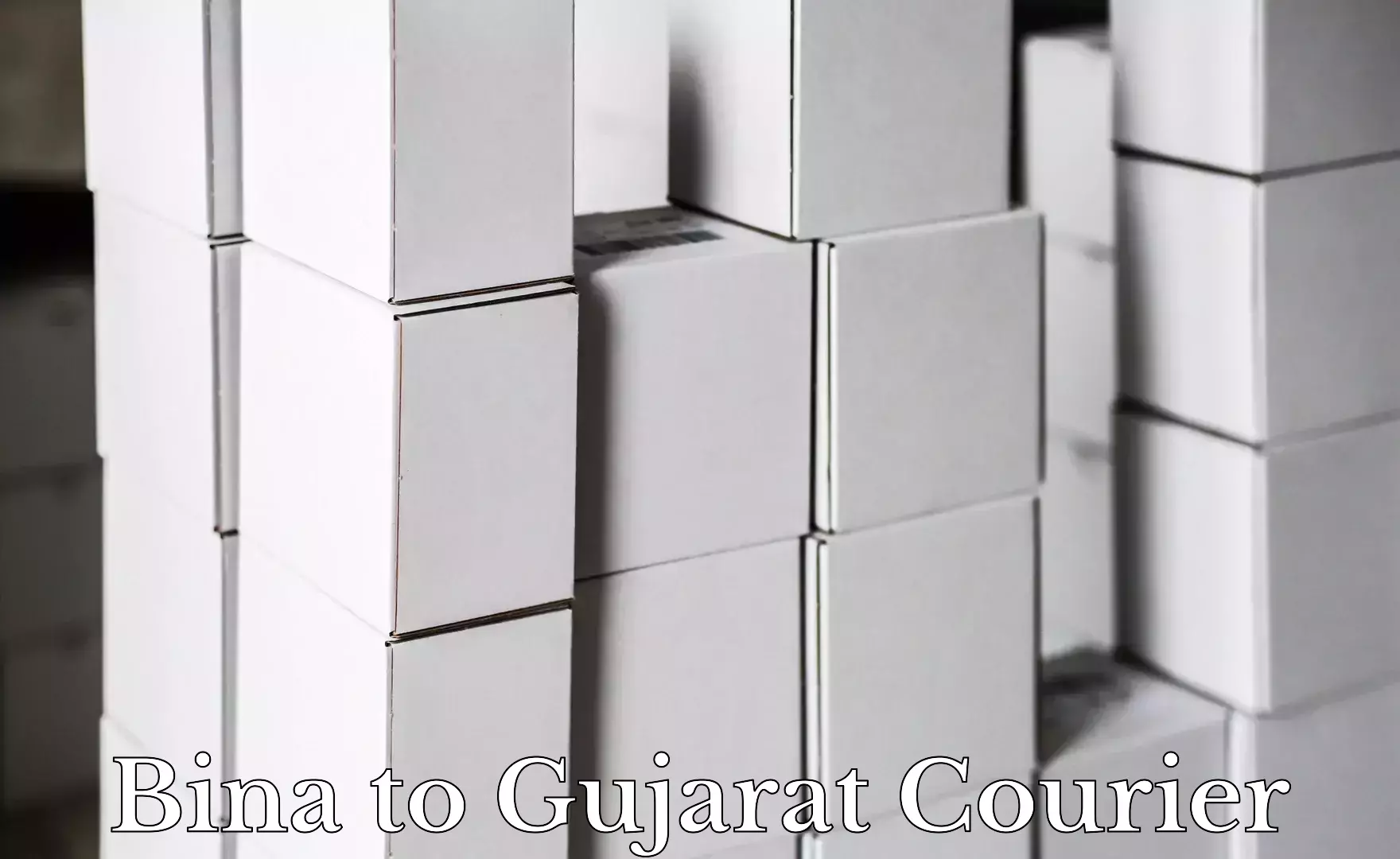 Custom courier packages in Bina to Dharampur Valsad