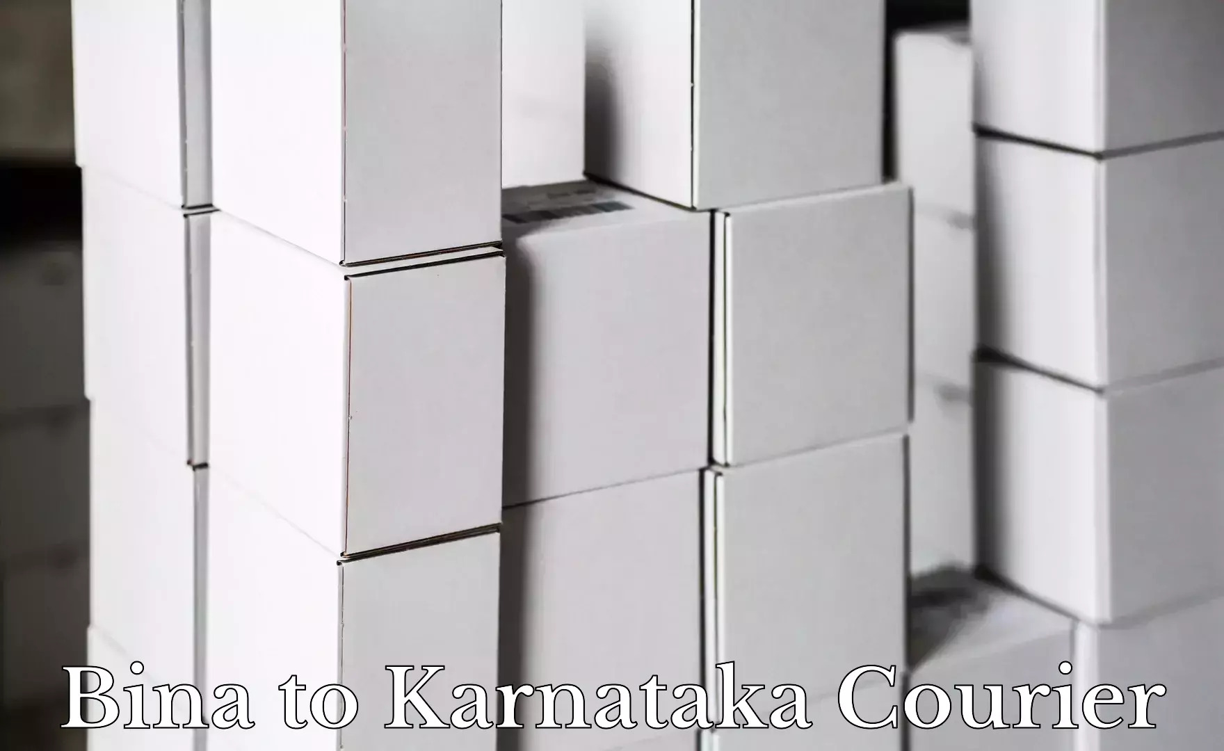 Courier membership Bina to Kanjarakatte