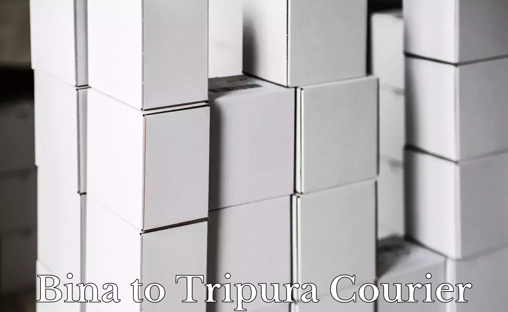 Custom courier rates Bina to Udaipur Tripura