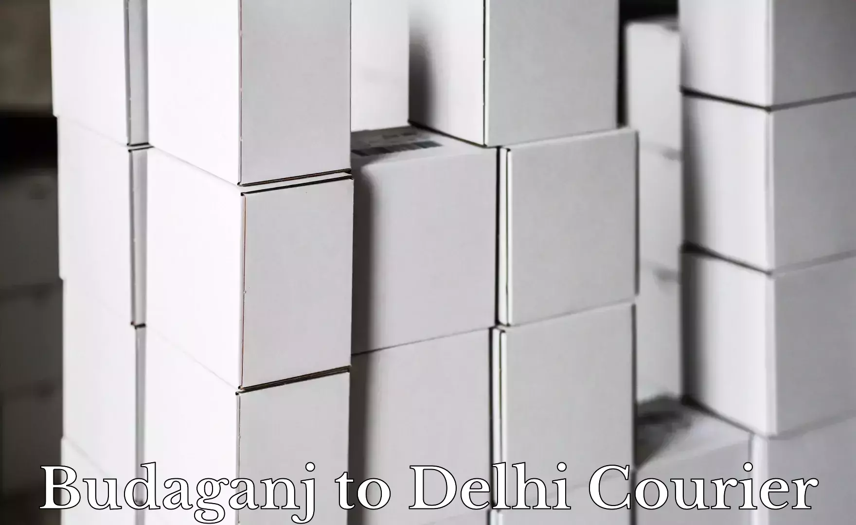 Doorstep parcel pickup Budaganj to University of Delhi