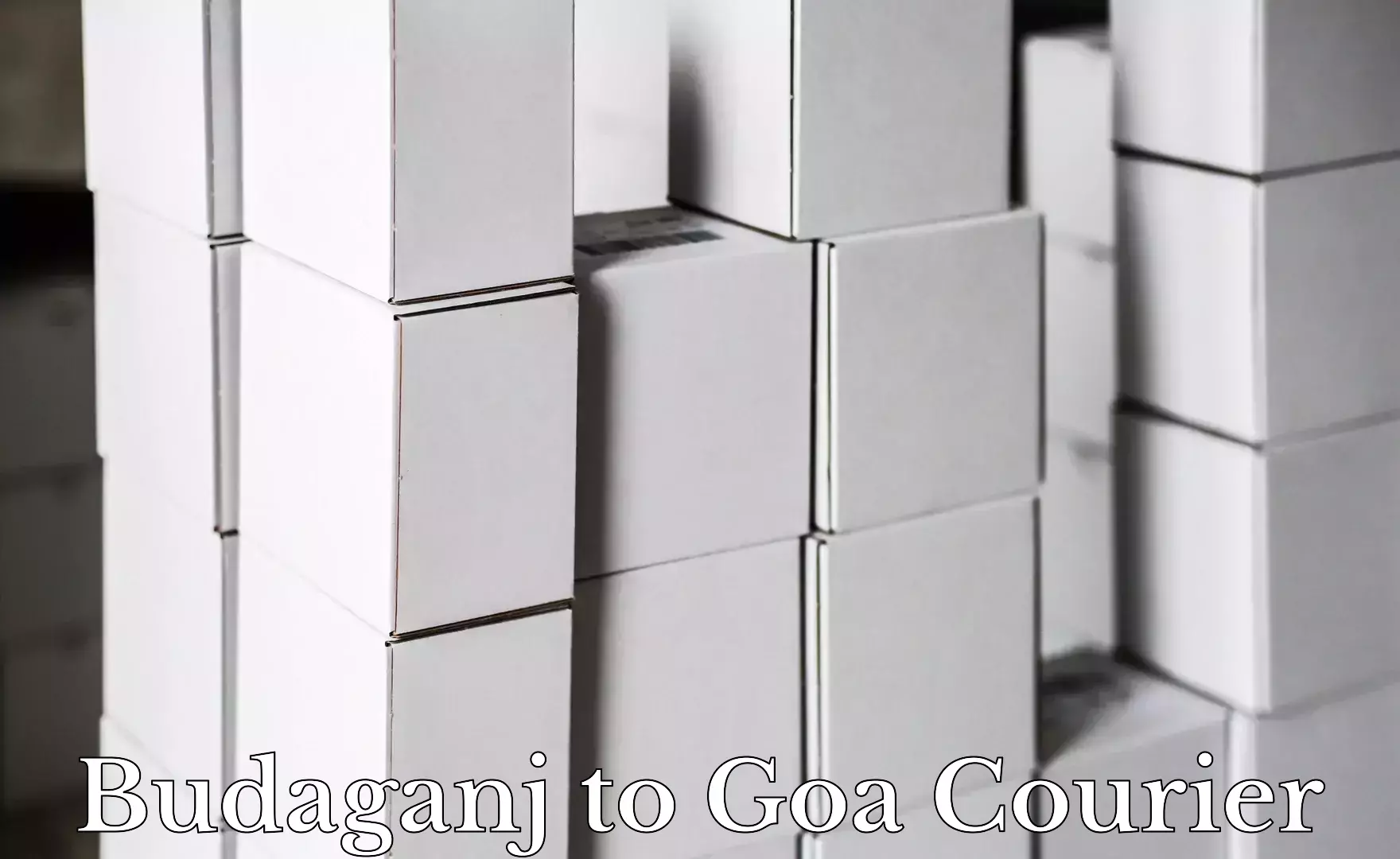 Reliable courier services Budaganj to Vasco da Gama