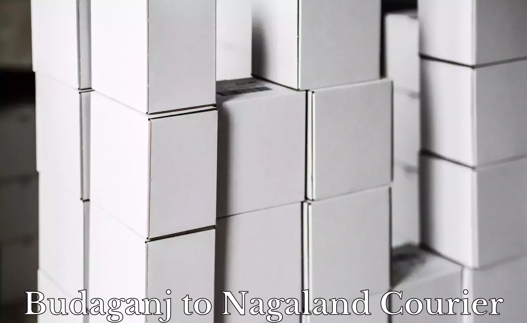 Reliable courier service Budaganj to Nagaland