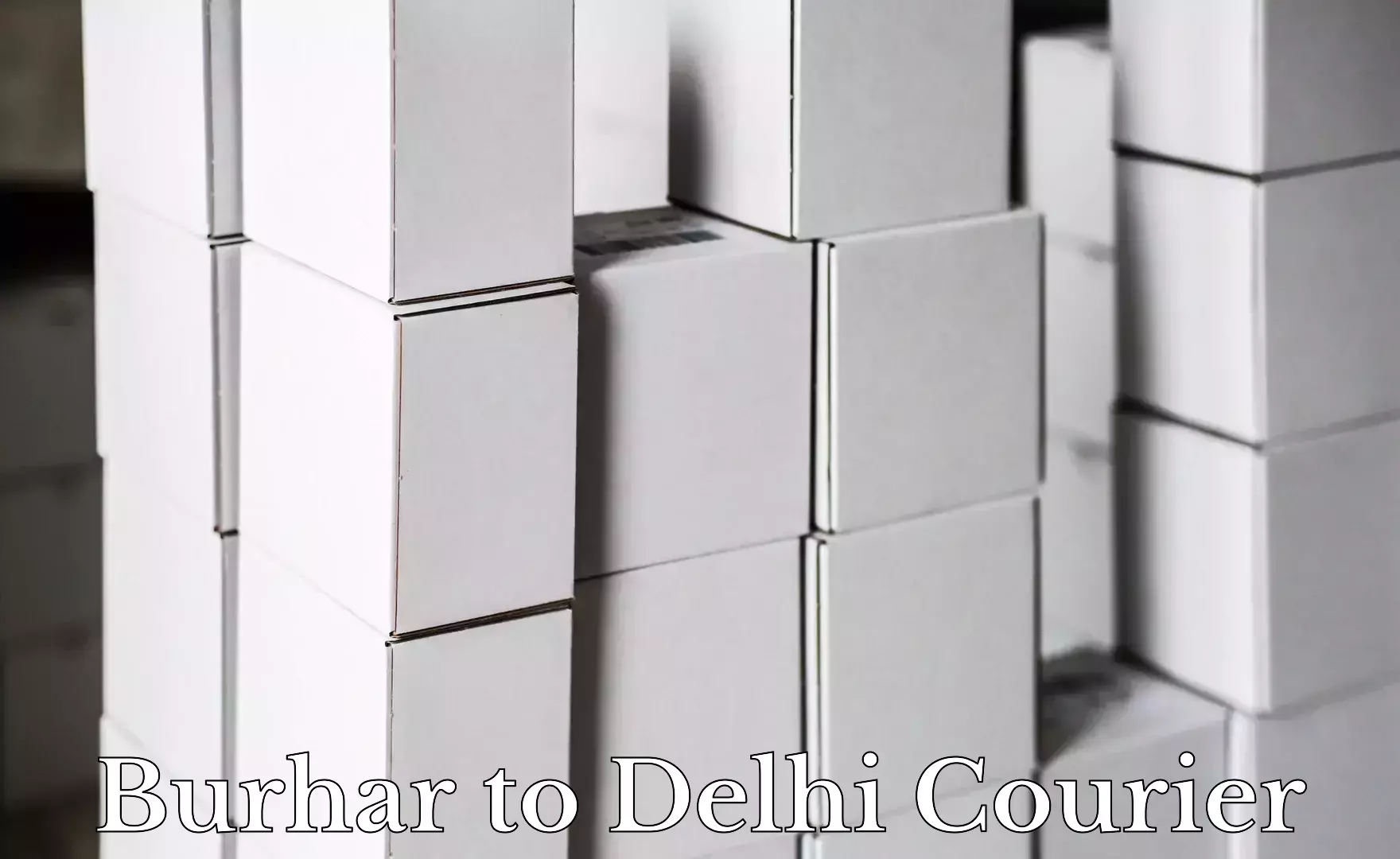 Personal courier services in Burhar to Delhi Technological University DTU