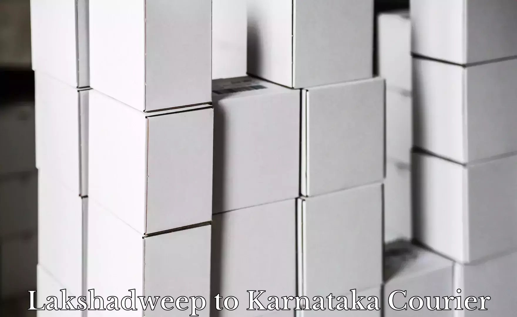 Fast parcel dispatch Lakshadweep to Krishnarajanagara