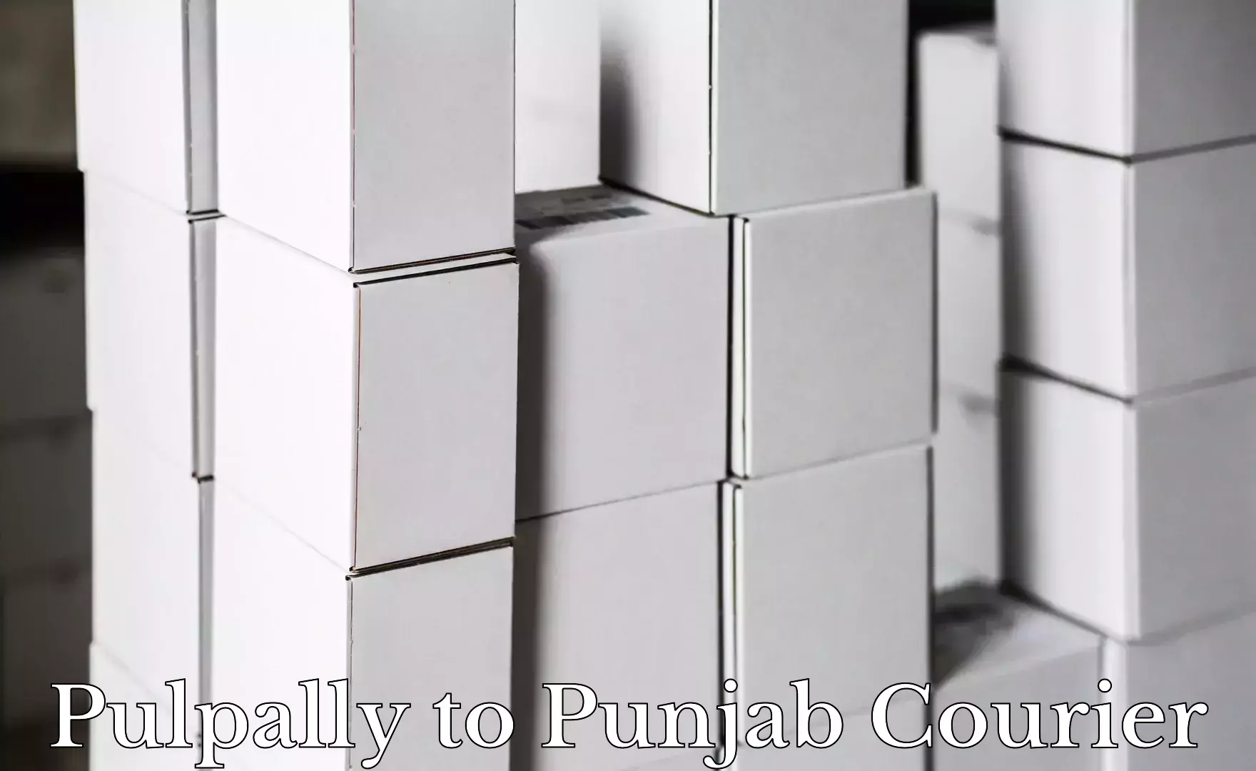 Competitive shipping rates in Pulpally to Tarsikka