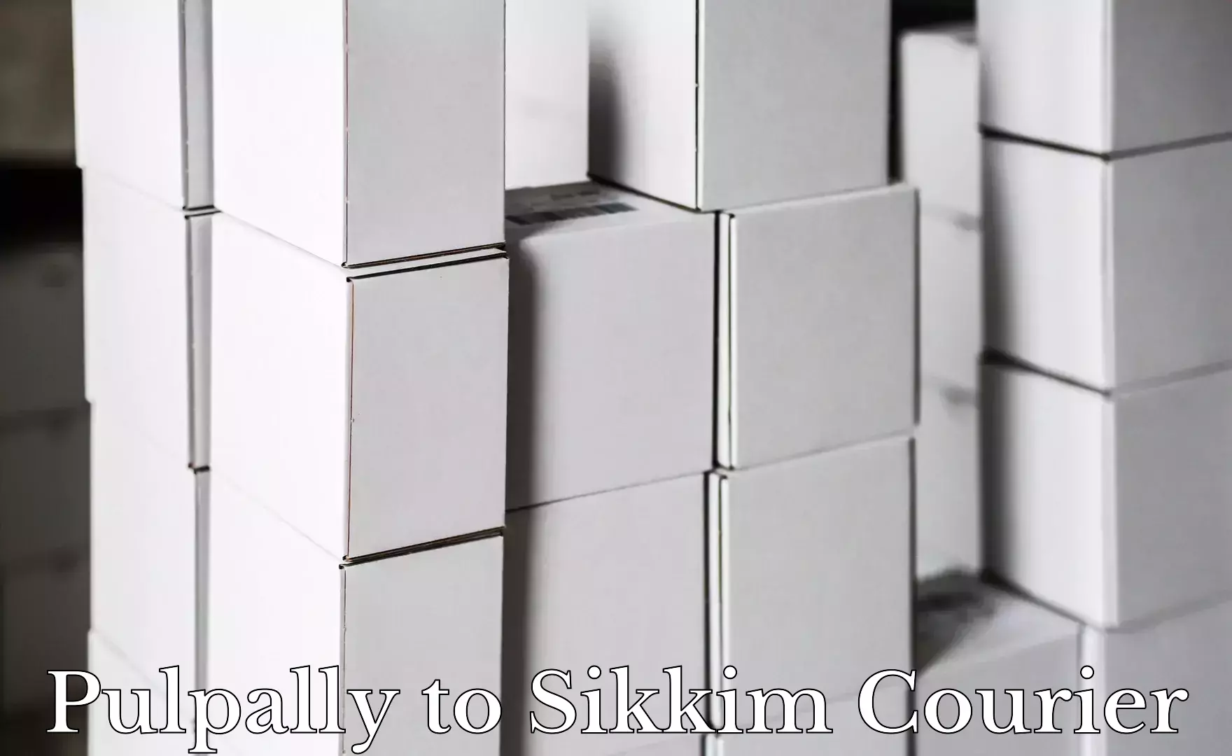 Cost-effective shipping solutions Pulpally to North Sikkim