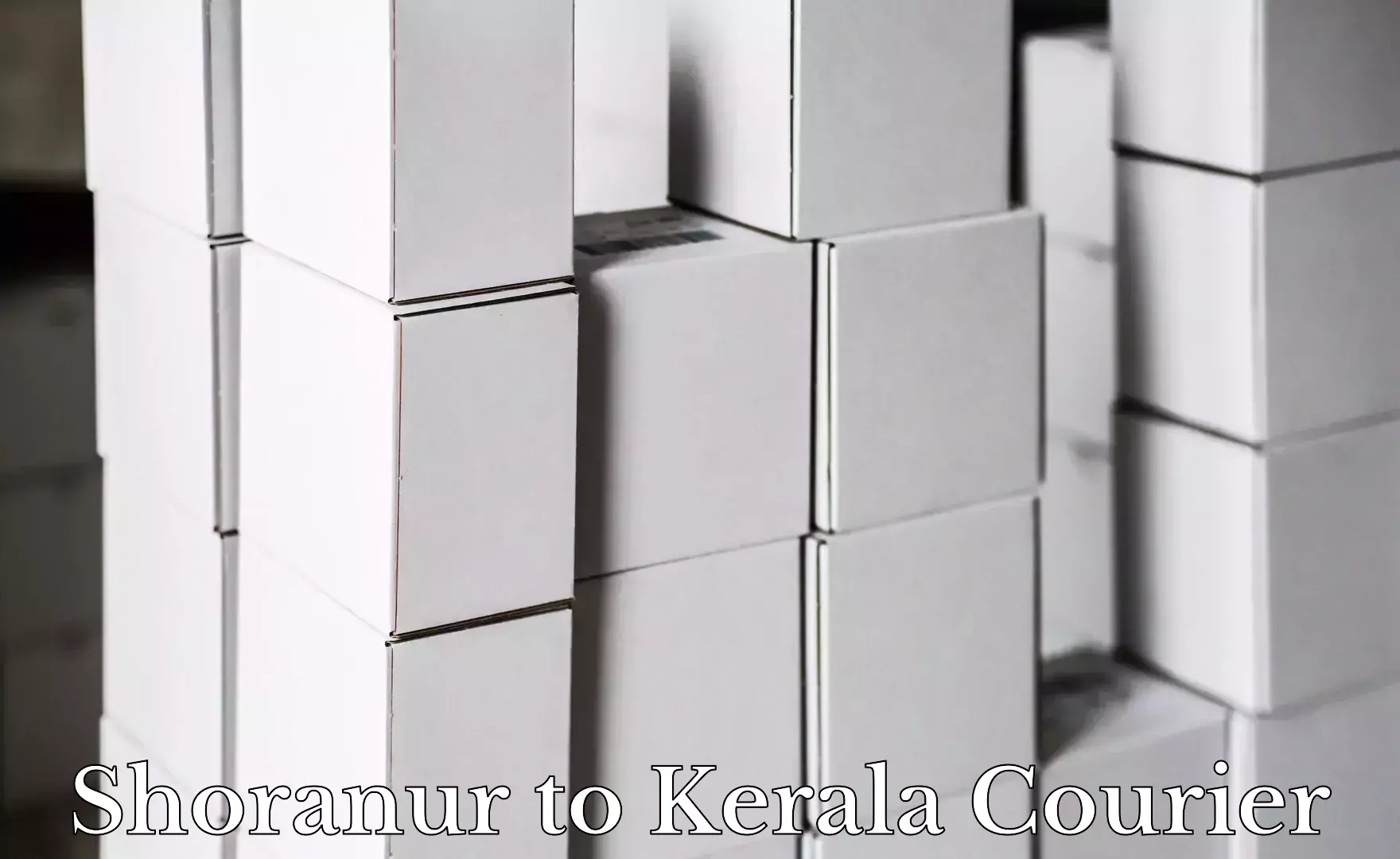 Multi-package shipping Shoranur to Narikkuni