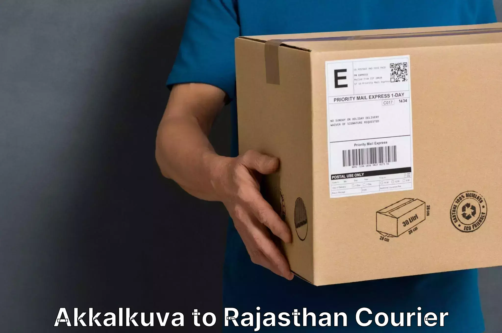 Efficient furniture shifting Akkalkuva to Bhilwara