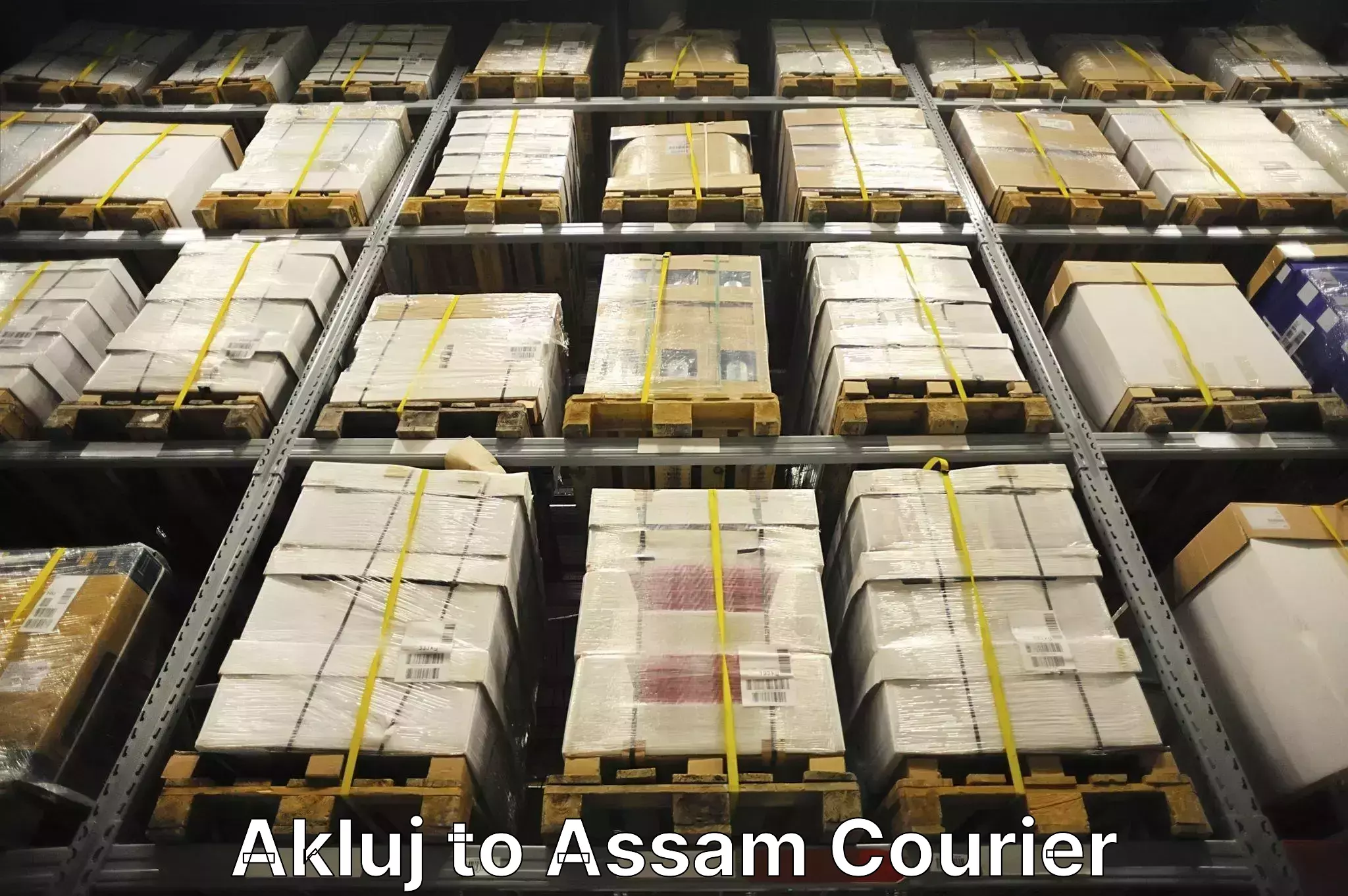 Professional goods transport Akluj to Guwahati University