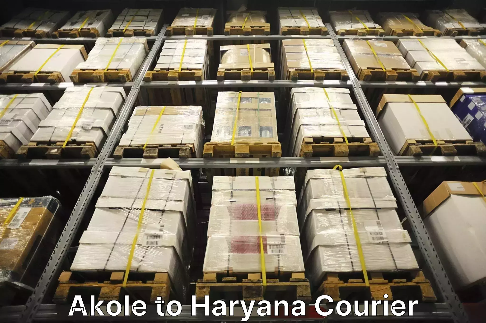 Household goods transport service Akole to NCR Haryana