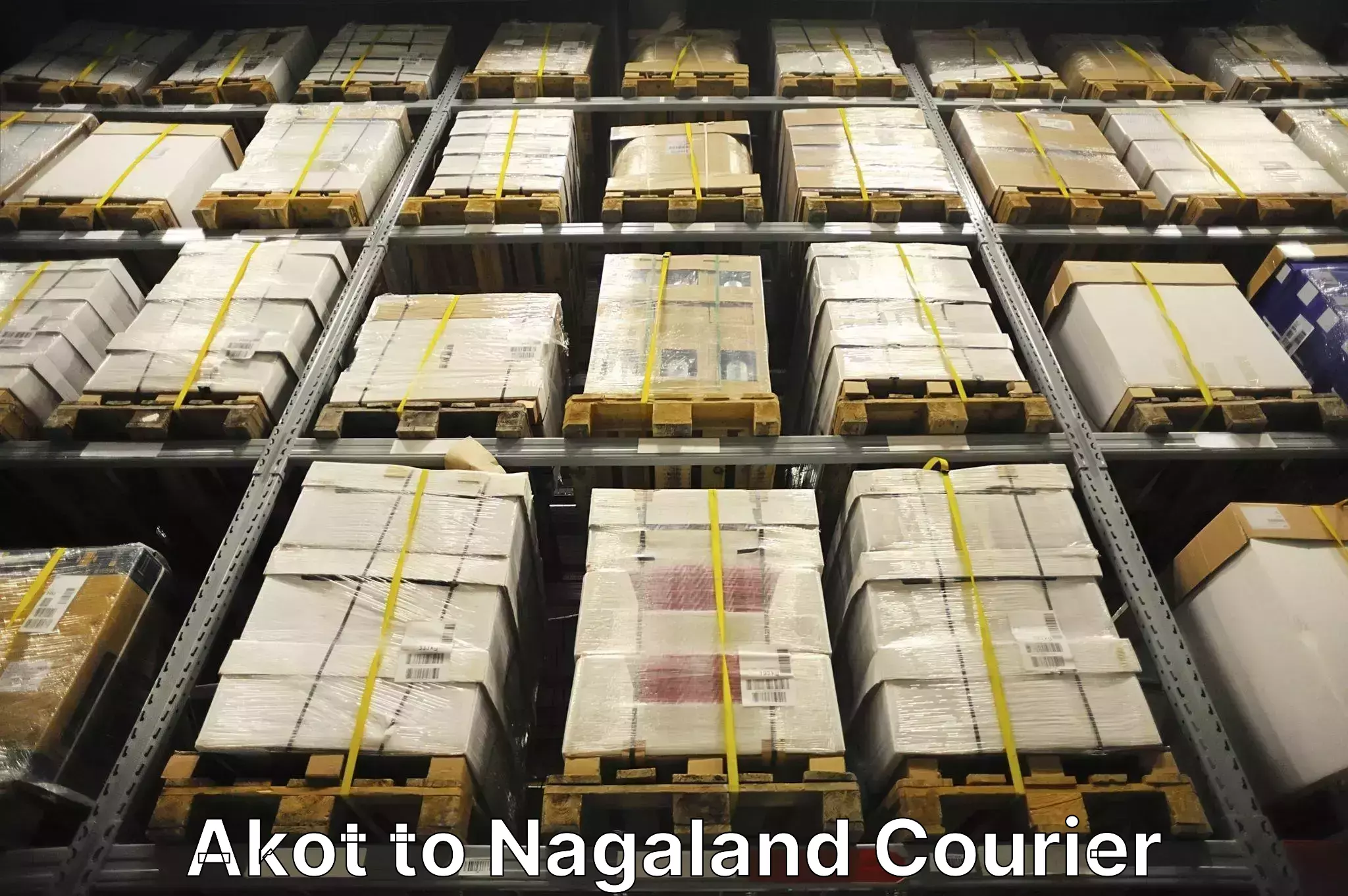 Household moving strategies Akot to Nagaland