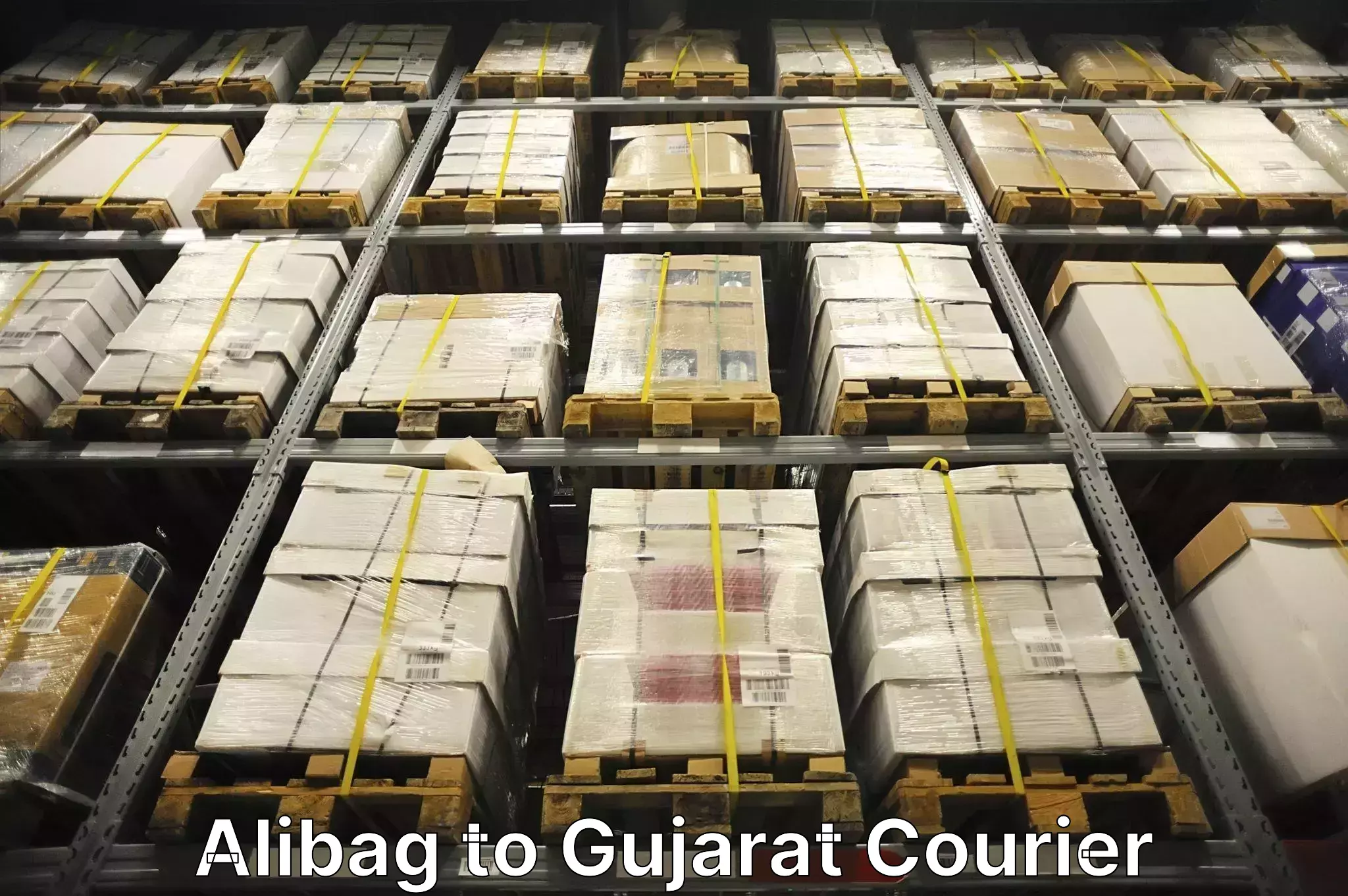 Quick household relocation Alibag to Vijapur