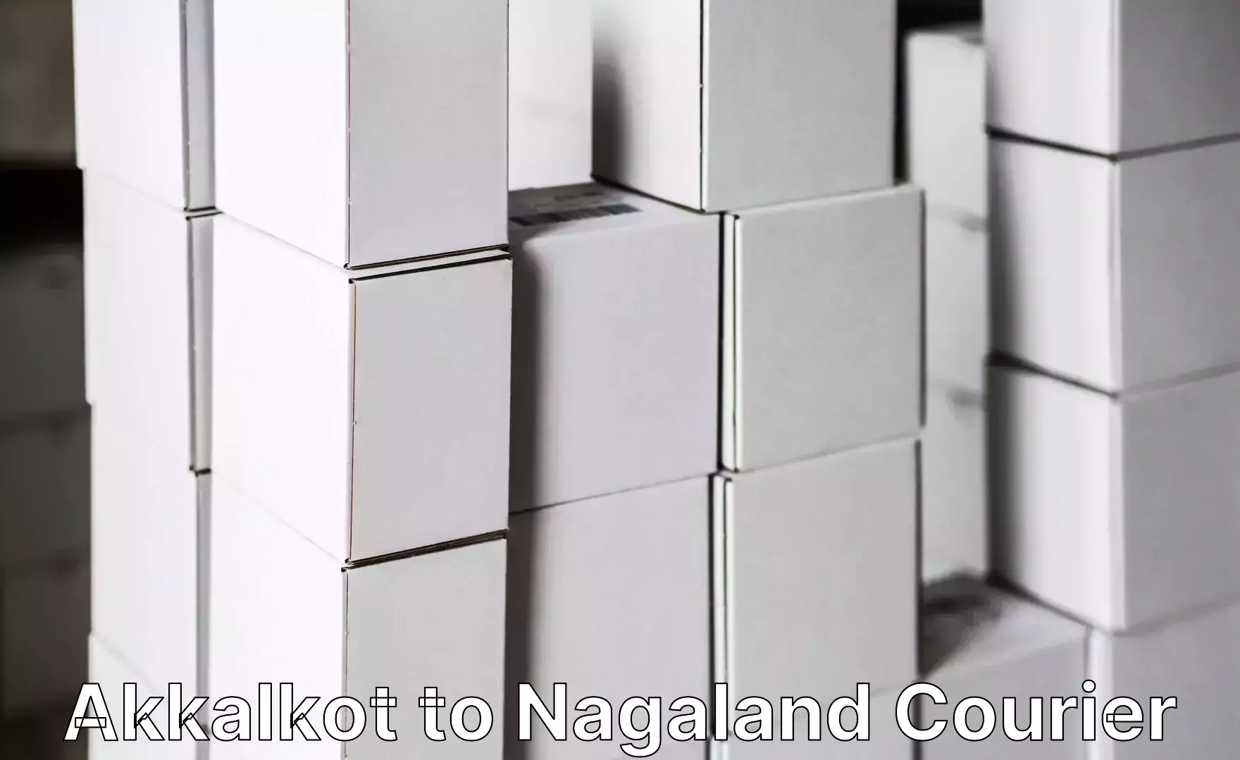 Efficient furniture shifting in Akkalkot to Nagaland