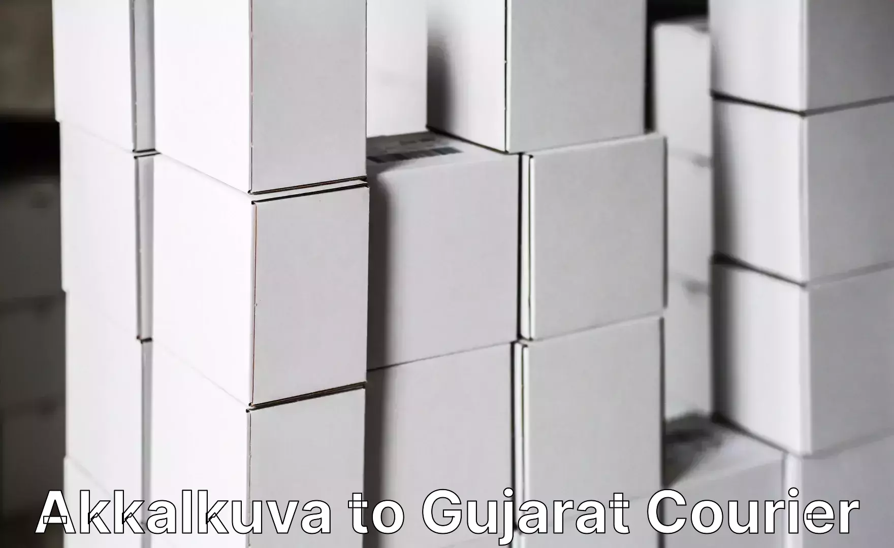 Furniture moving service Akkalkuva to Navsari