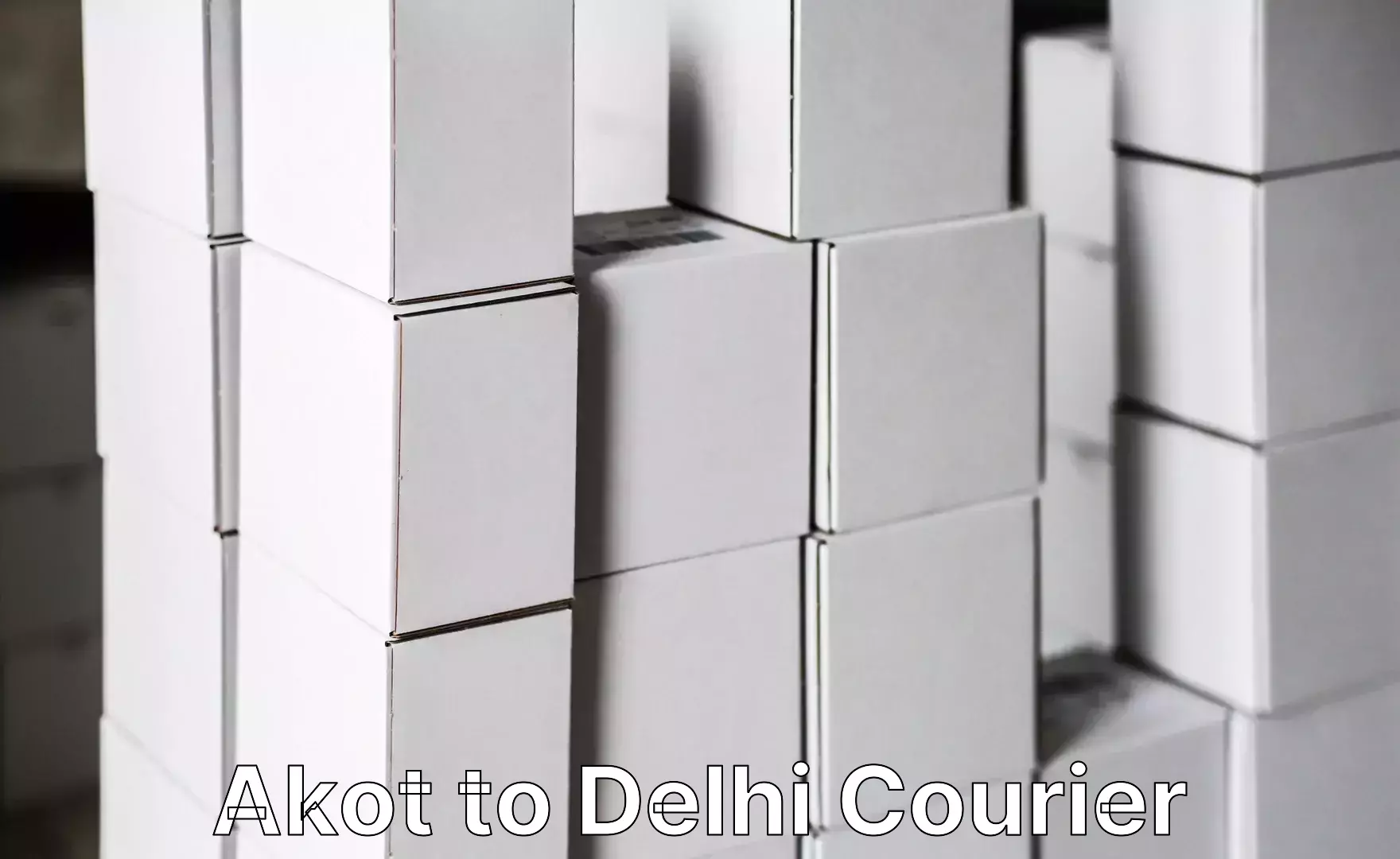 Professional packing and transport Akot to University of Delhi