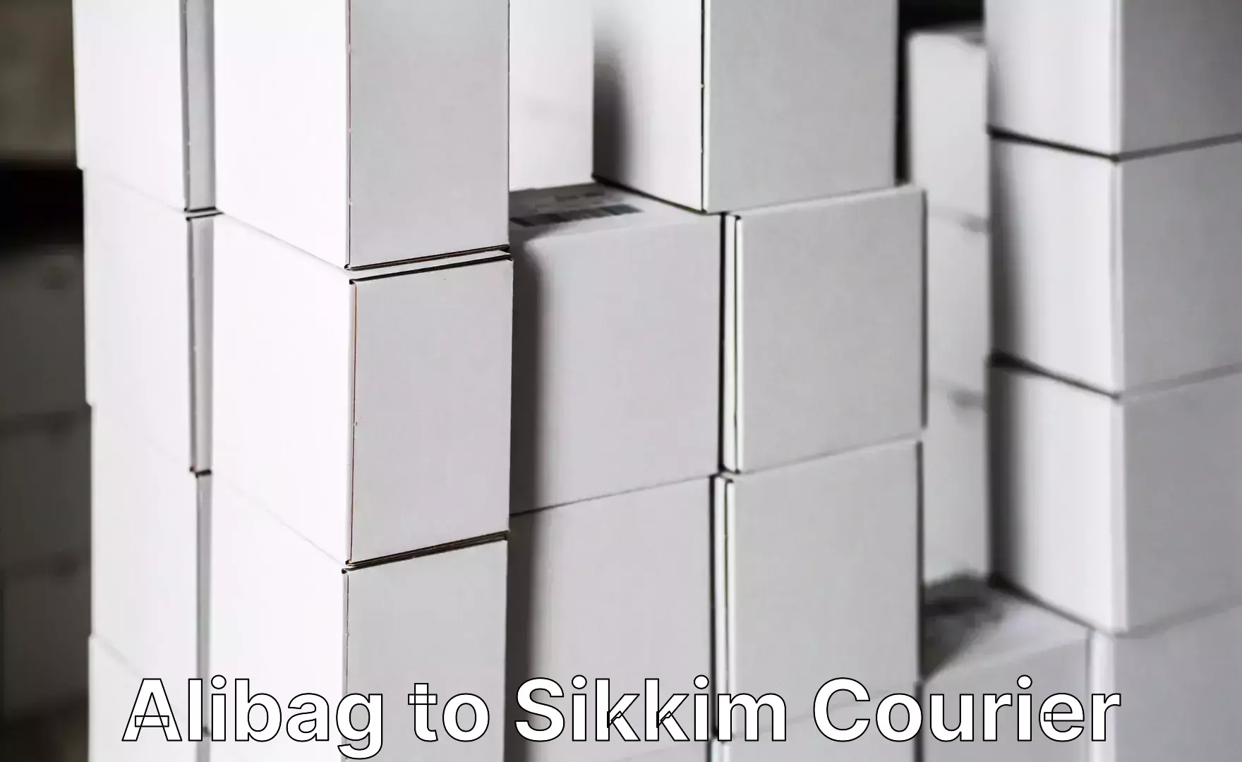 Professional movers and packers Alibag to South Sikkim