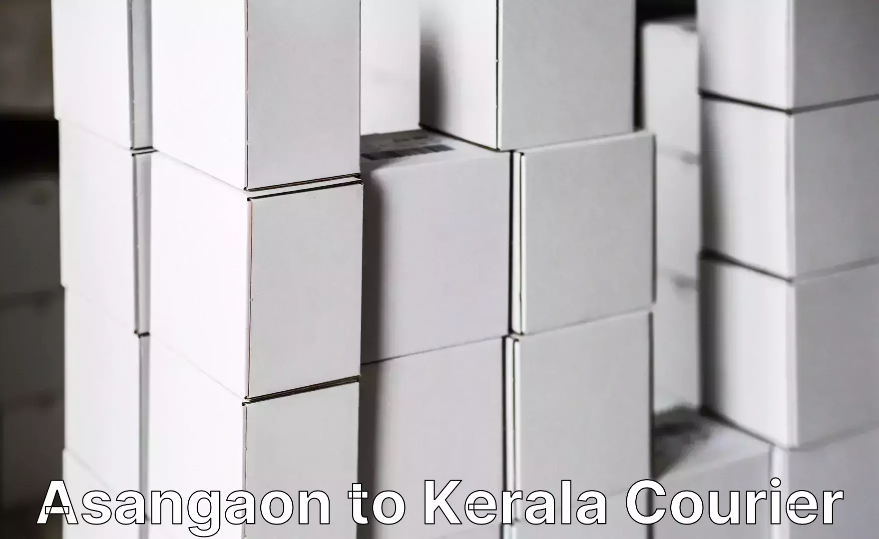 Home moving and storage Asangaon to Cherthala