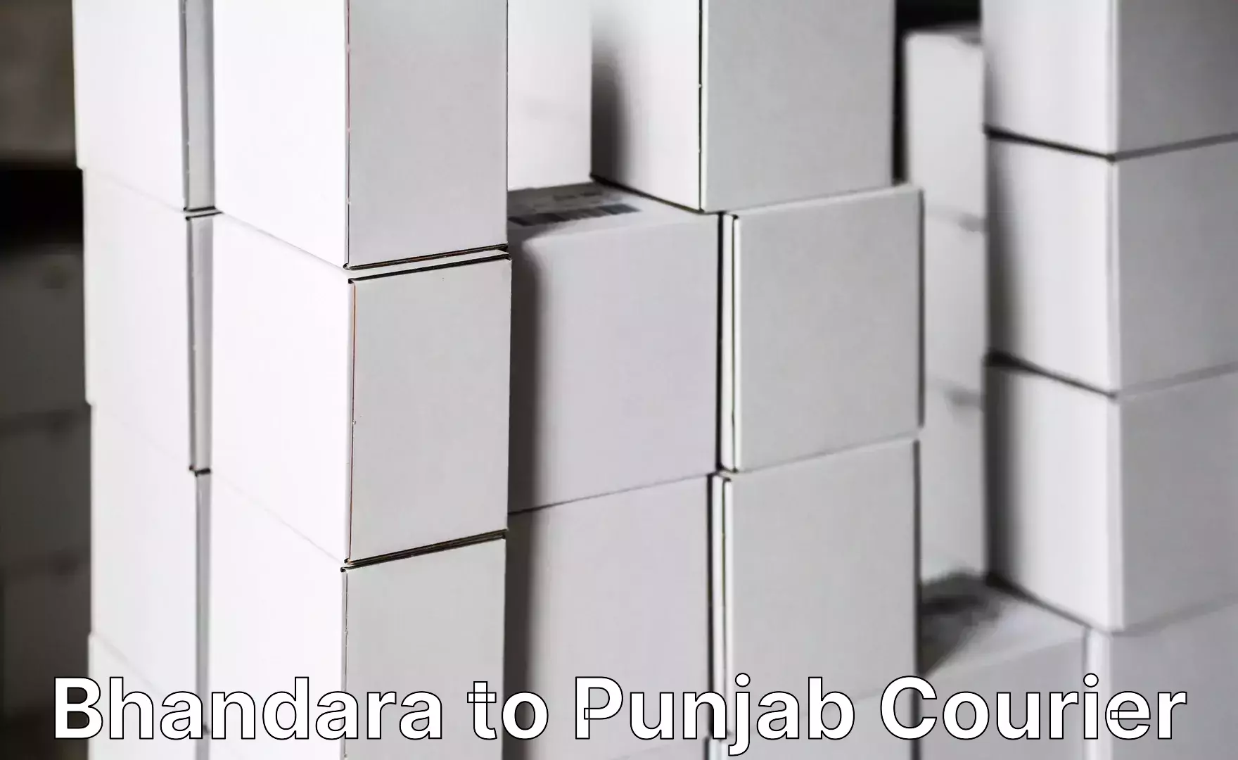 Quick home relocation services Bhandara to Phagwara