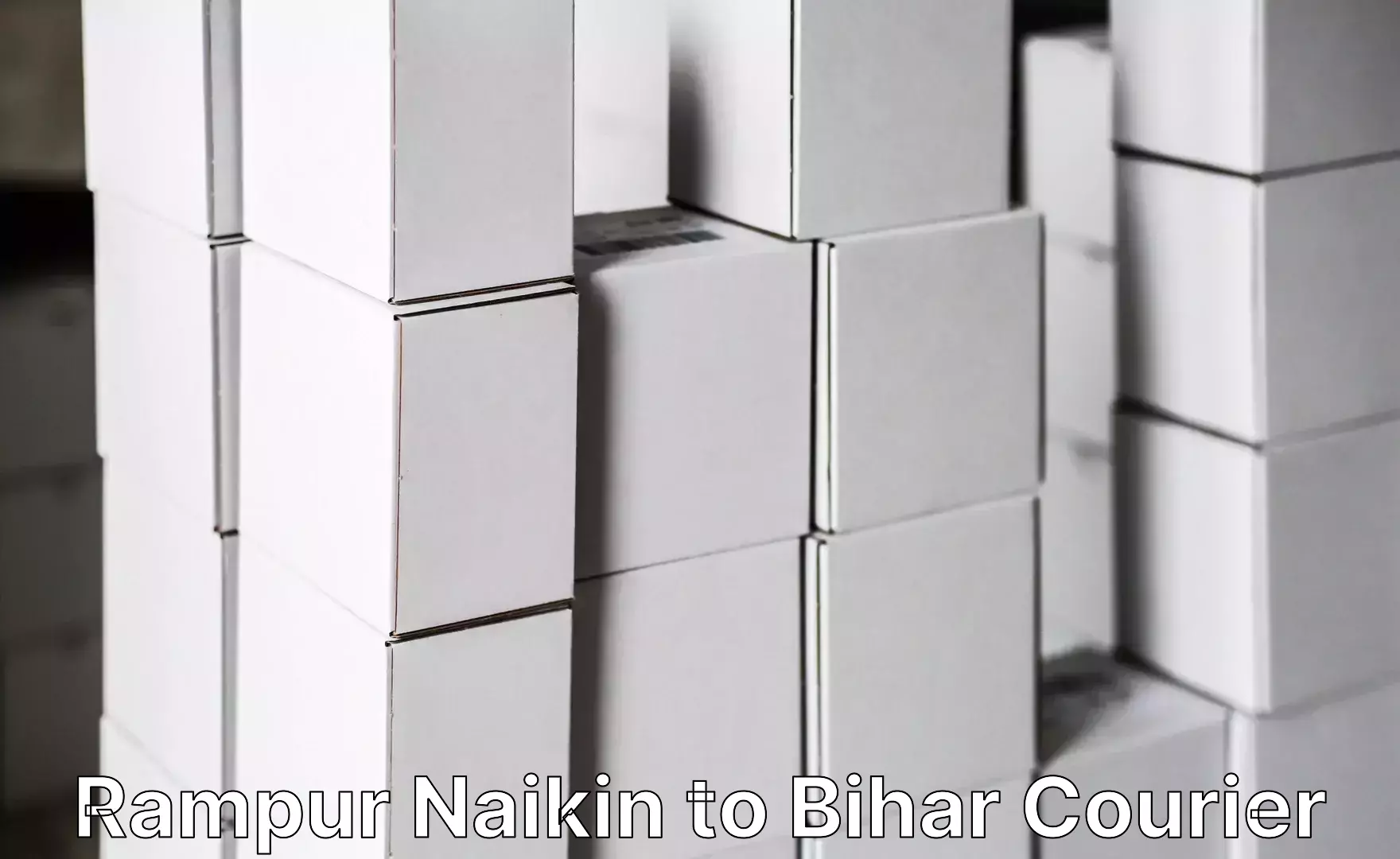 Cost-effective moving solutions Rampur Naikin to Baisi