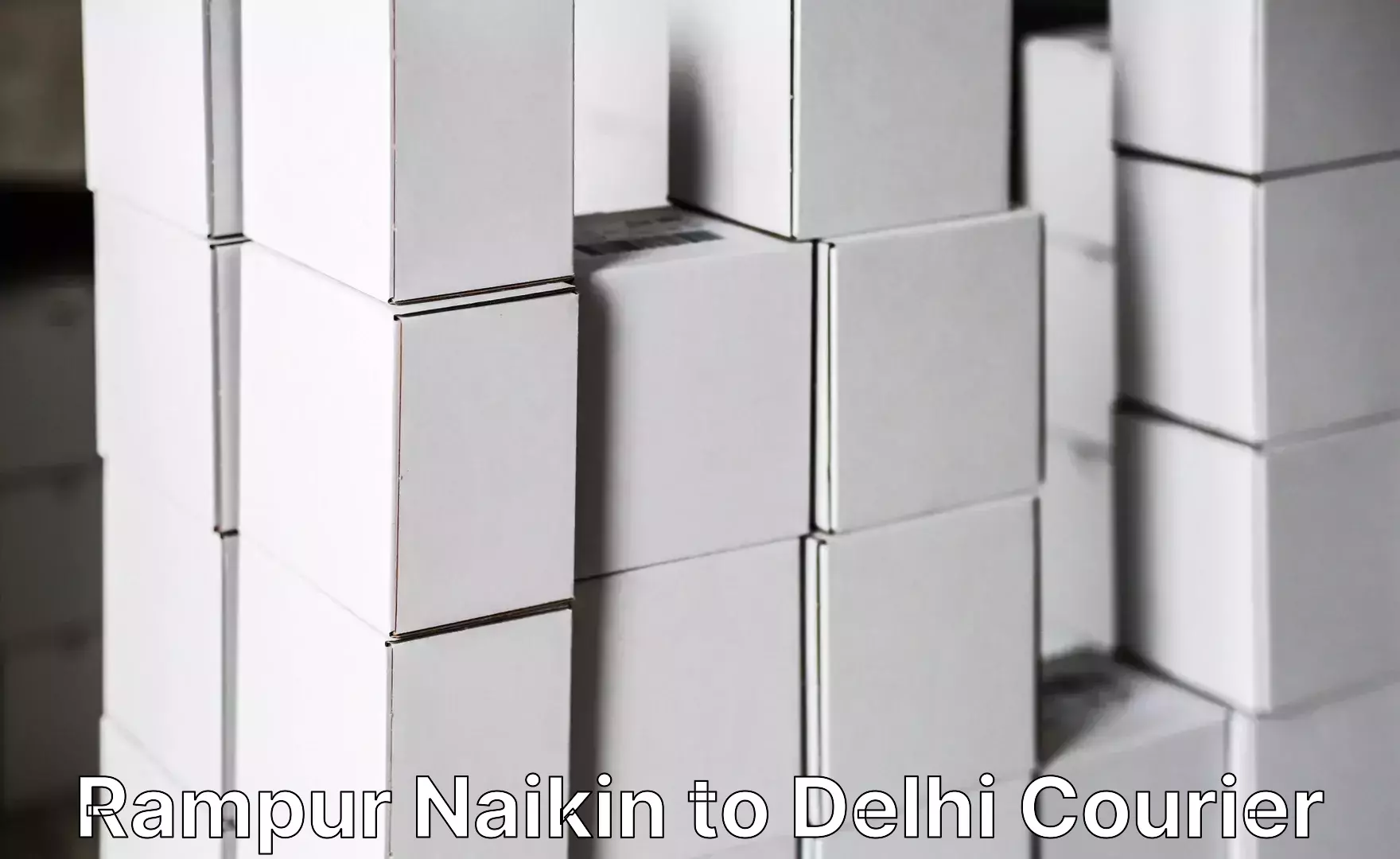 Professional moving company Rampur Naikin to IIT Delhi